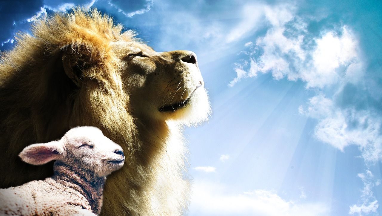 1280x723 Download free photo of Lion, lamb, sky, jesus, god