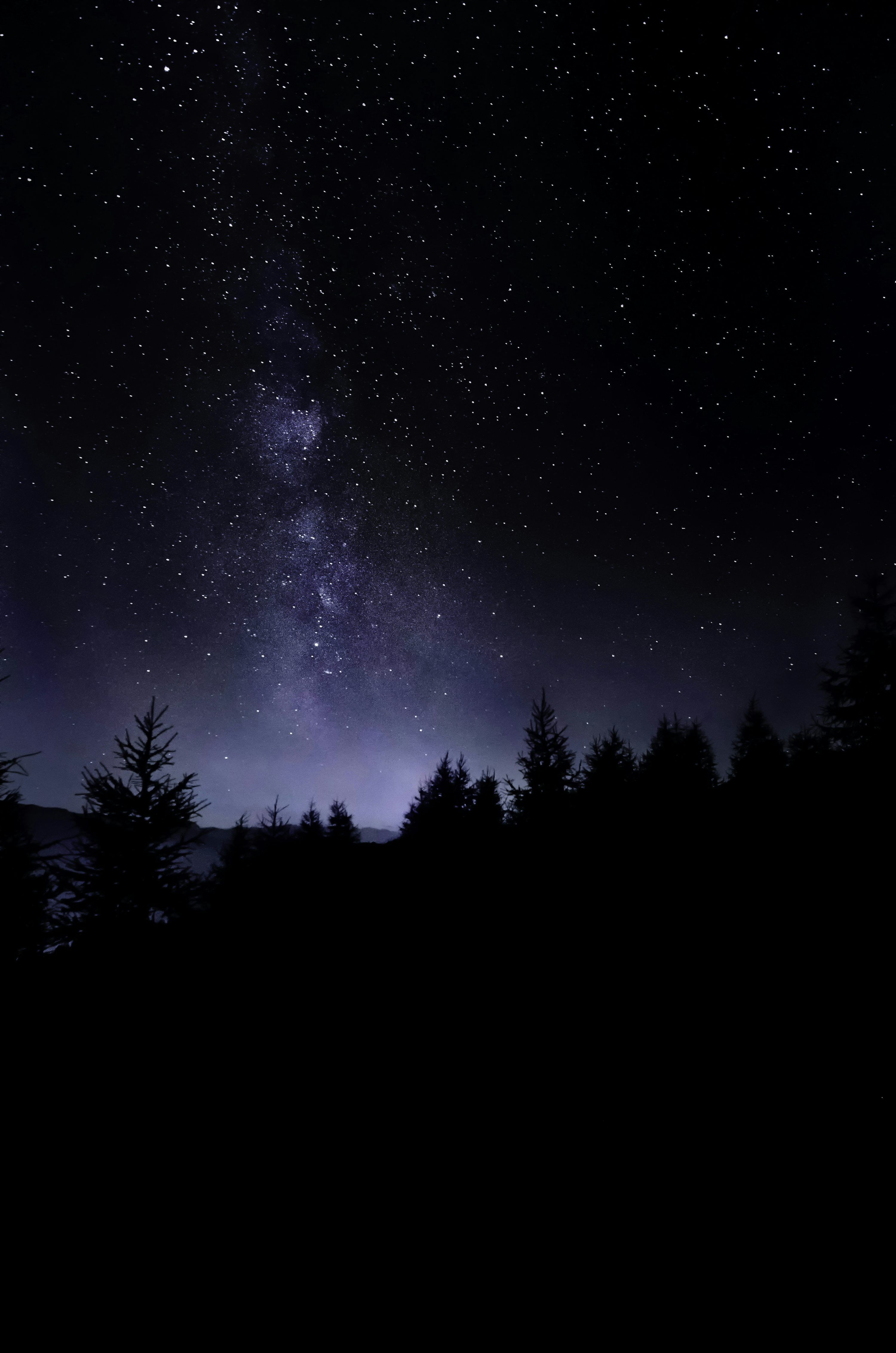 3000x4529 Dream Night Picture. Download Free Image