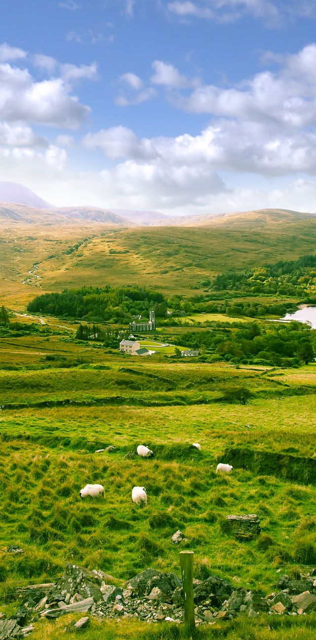 640x1296 Little Farm Photo