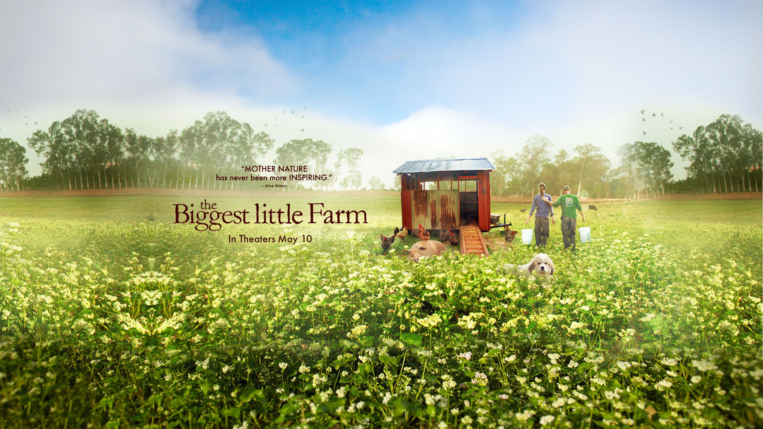 2560x1440 Student Affairs to host film screening for 'The Biggest Little Farm' on April 15. Penn State University