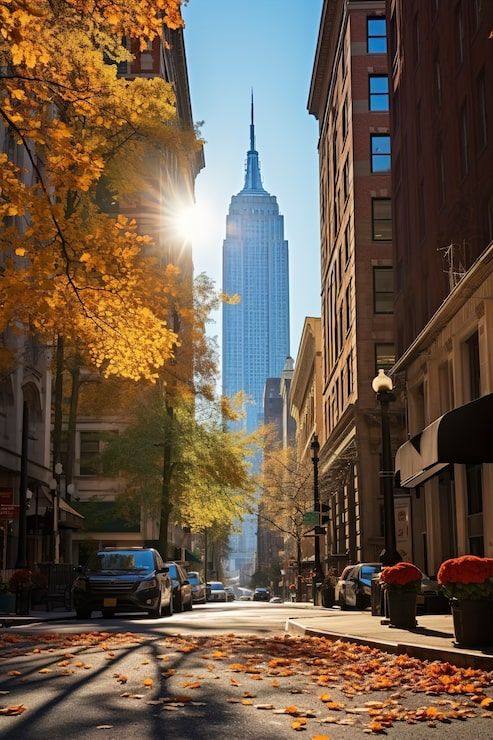 493x740 Sunny day city Image