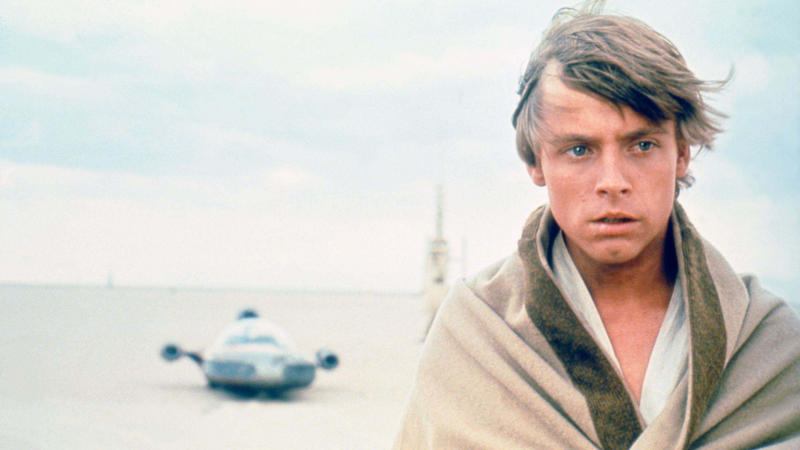 2560x1440 Mark Hamill Says Luke Skywalker Could Have Been Queer: “If You Want Him to Be Gay, He Is”