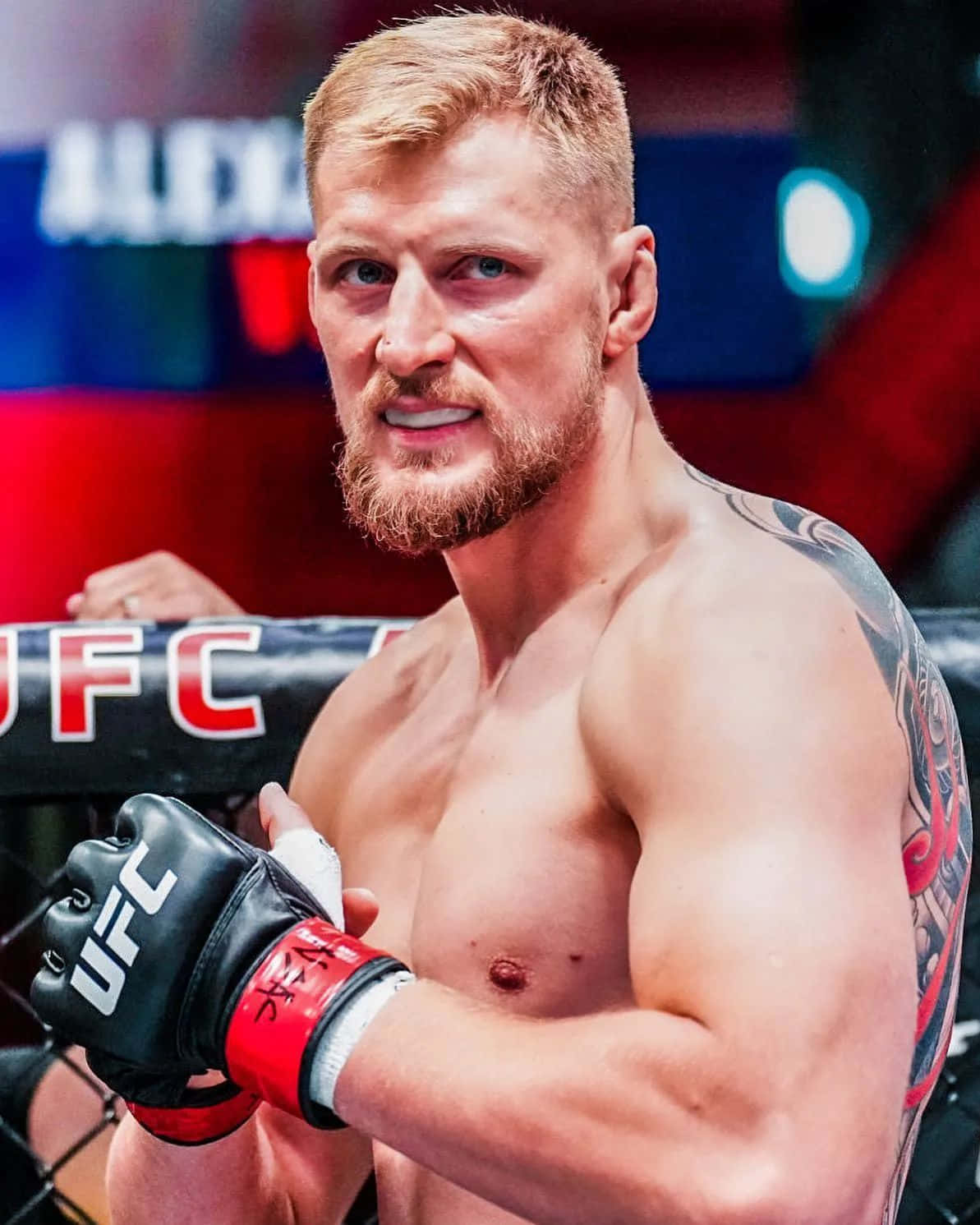 1193x1491 Download Angry Alexander Volkov Wallpaper