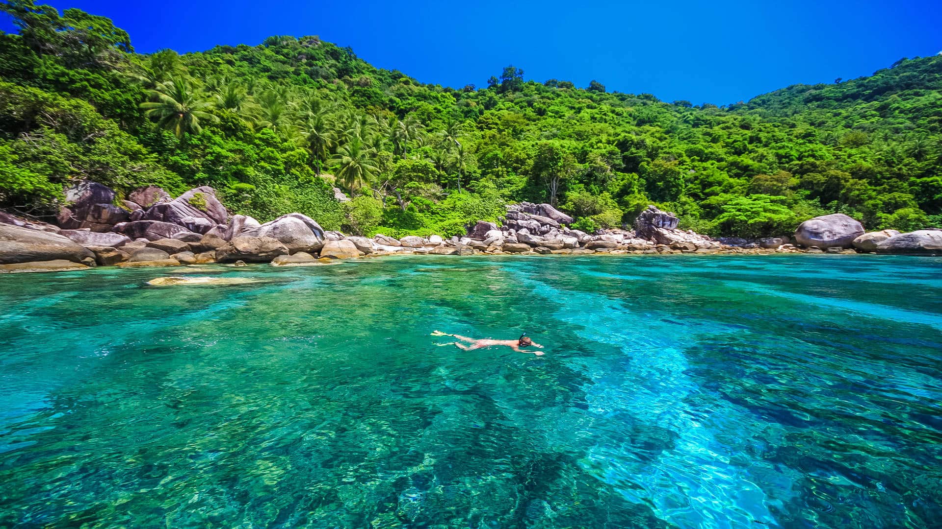 1920x1080 Diving in Koh Tao: A scuba guide to Turtle Island