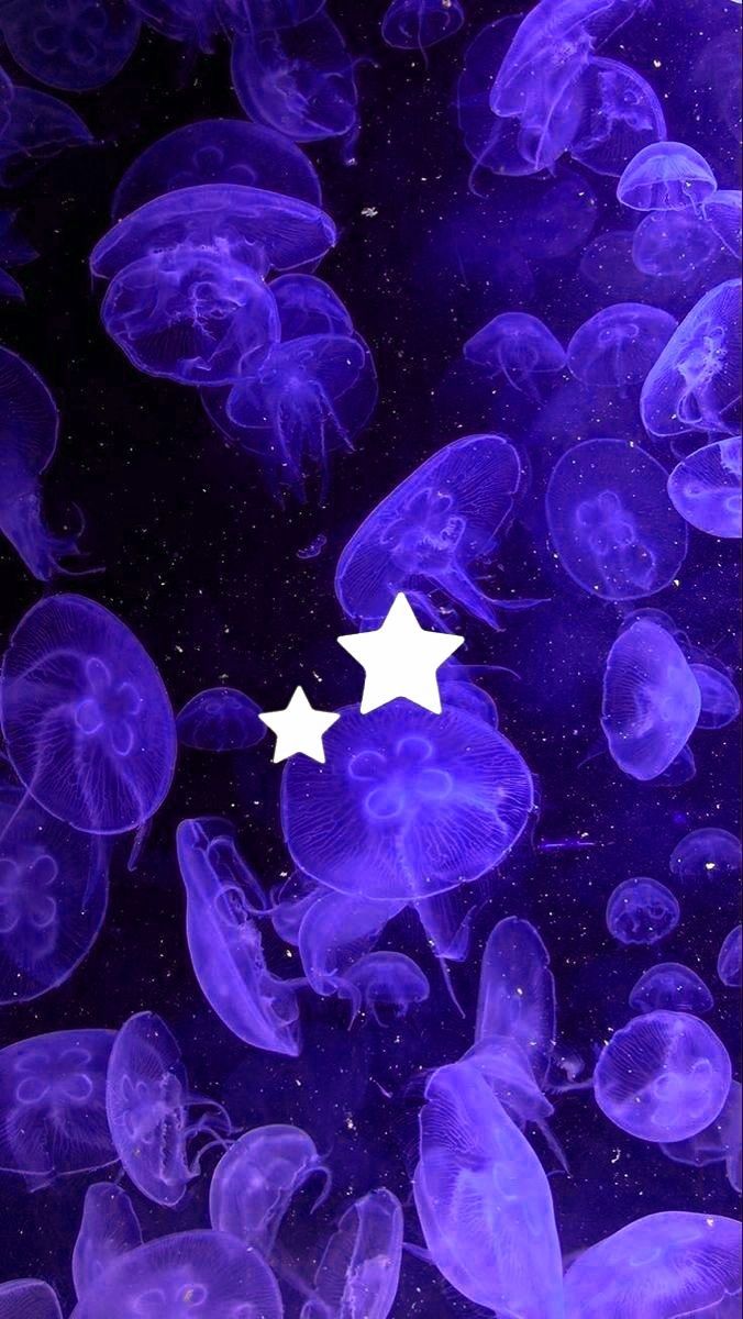 676x1200 purple jellyfish background