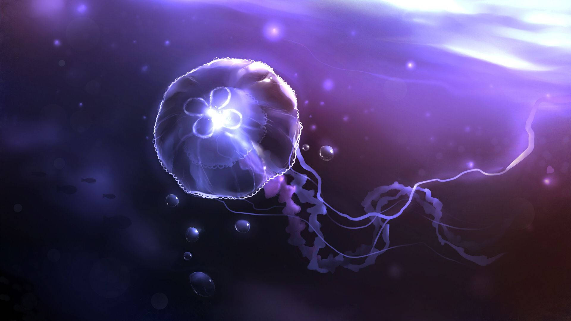 1920x1080 Download Jellyfish Wallpaper