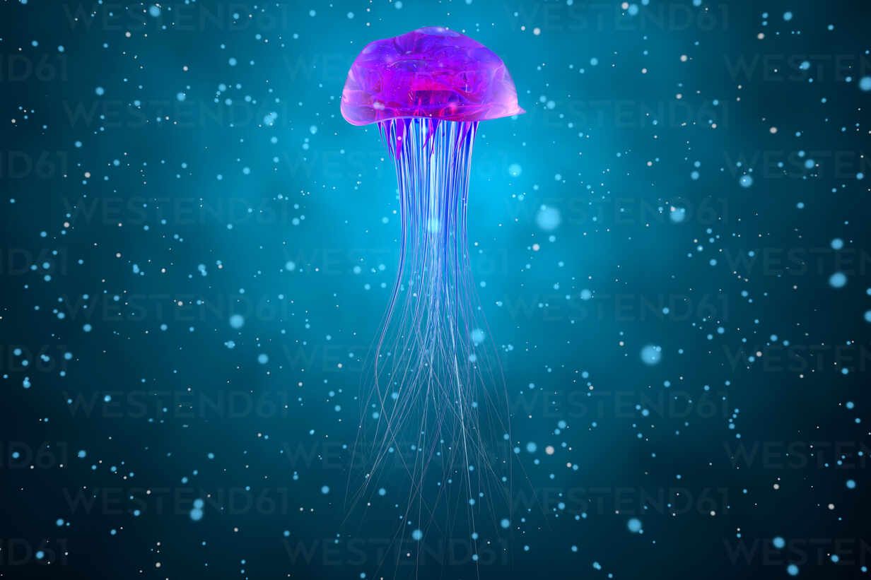 1232x821 Three dimensional render of purple jellyfish