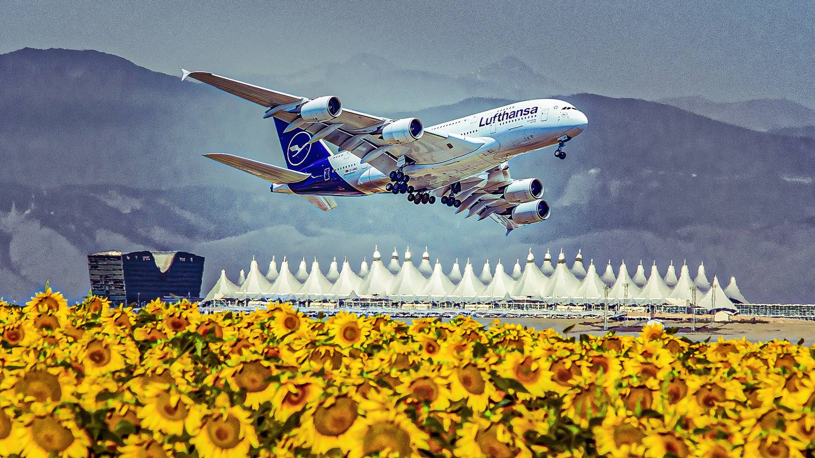 1600x900 Why Is Denver Home To Some Of The Longest Runways In The World?
