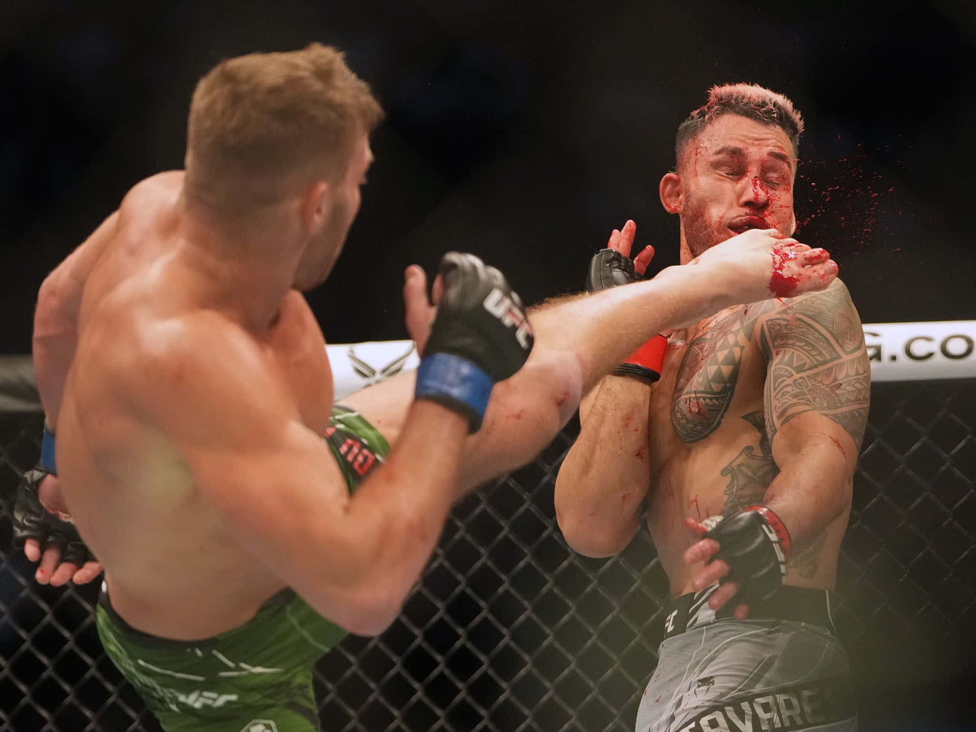 1920x1440 Download Dricus Du Plessis Kicking Tavares Wallpaper