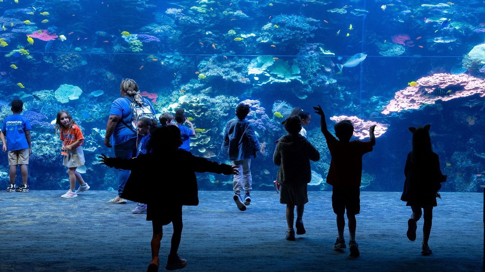 1600x900 Georgia Aquarium showcases critical role of marine life in our communities Super Market Charities