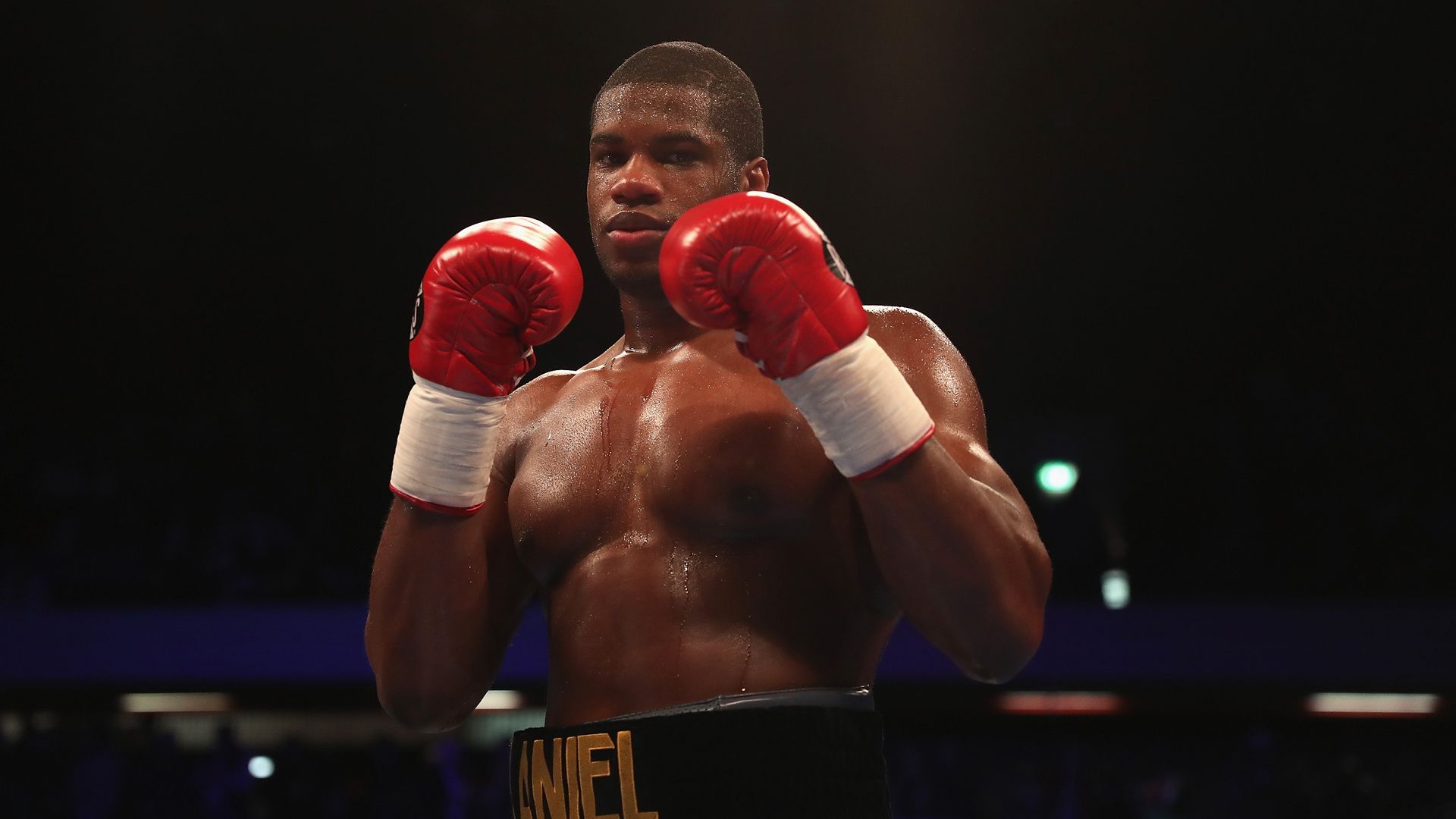 1920x1080 Daniel Dubois Wallpaper