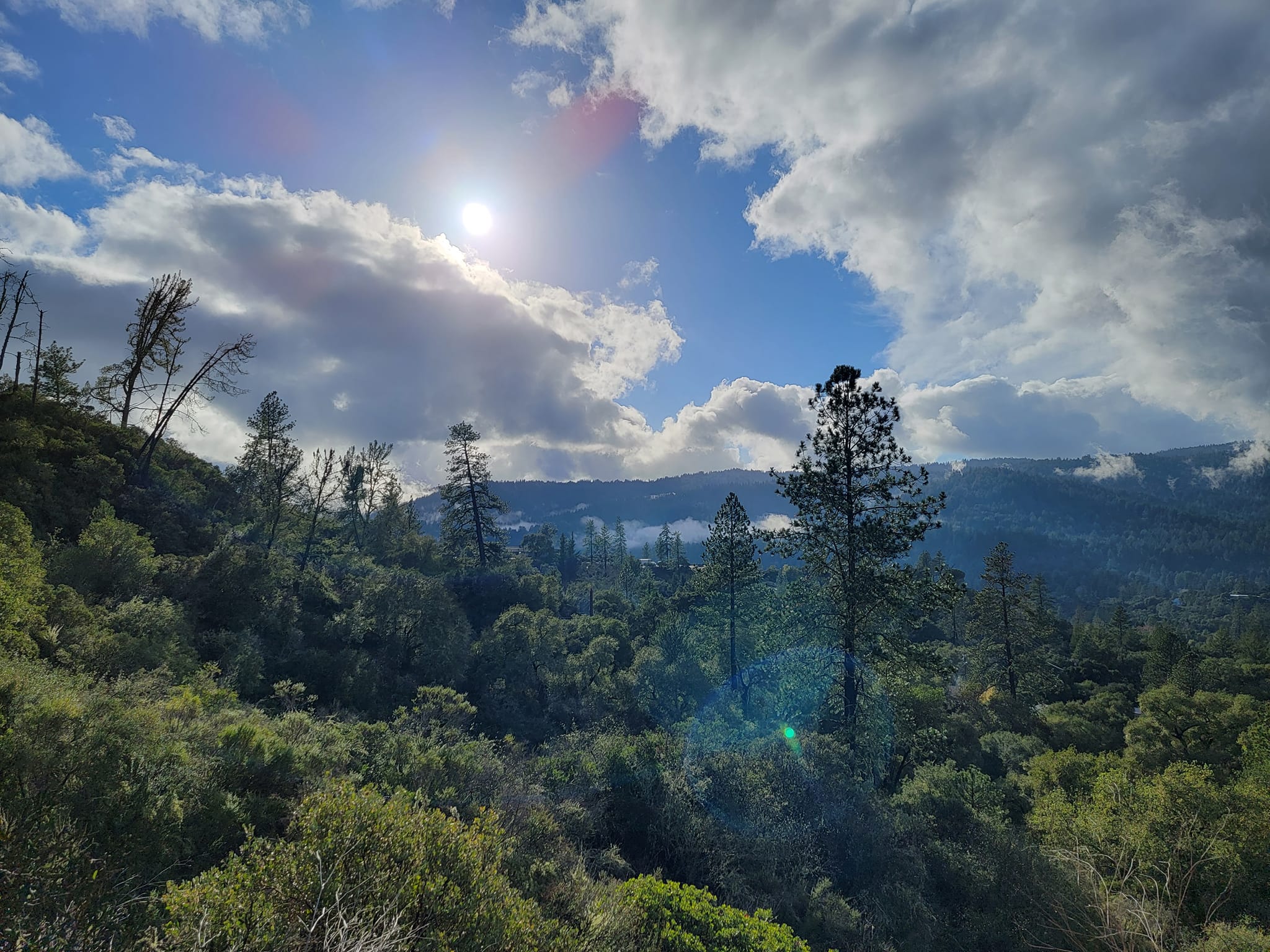 2048x1536 Photography: Winter Hike at Quail Hollow Ranch Park Lorenzo Valley Post