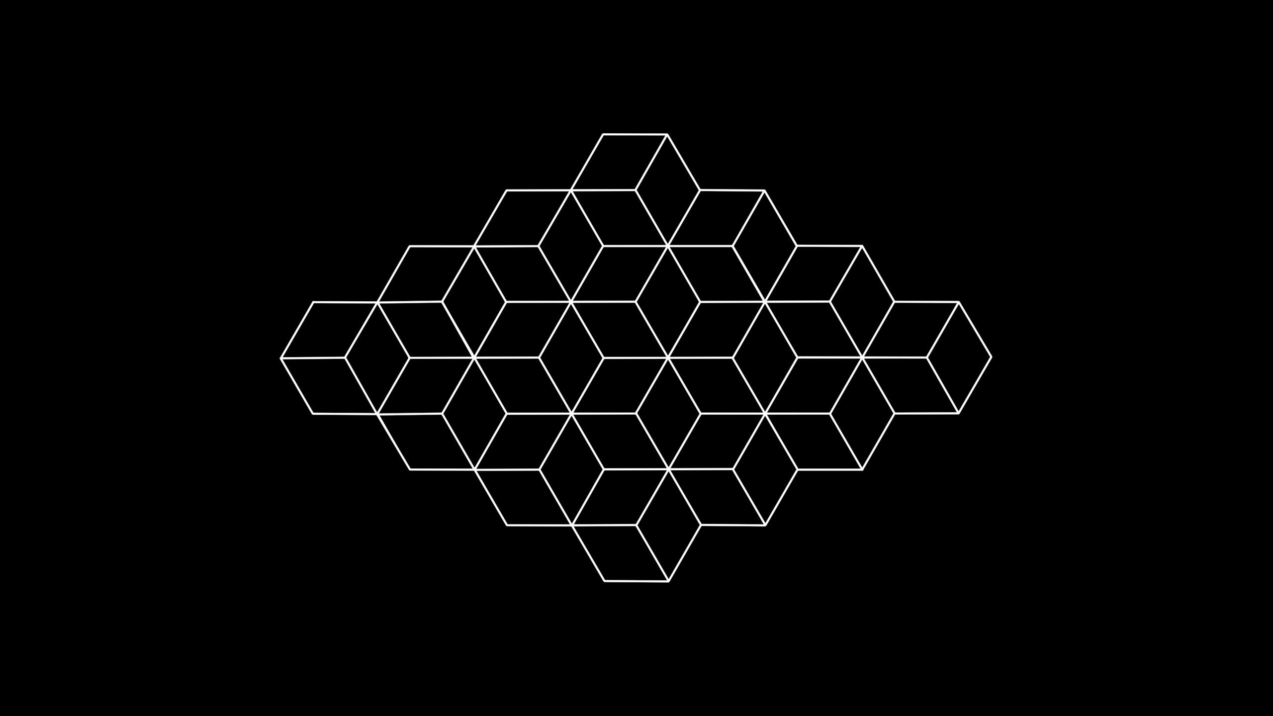 2560x1440 Black & White Minimalist Optical Illusion 4K HD Abstract Wallpaper