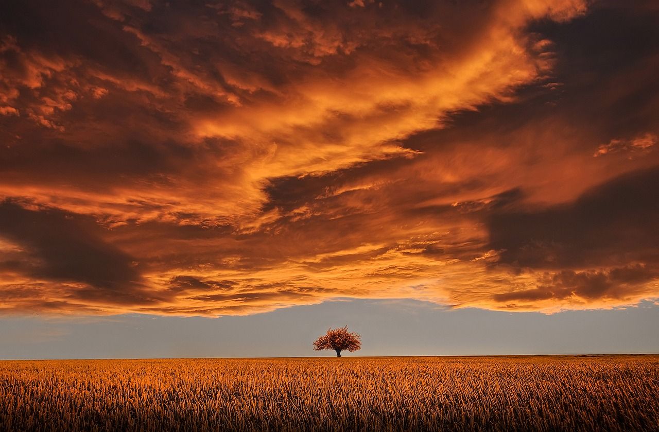 1280x839 Free Twilight Sky & Sunset Image
