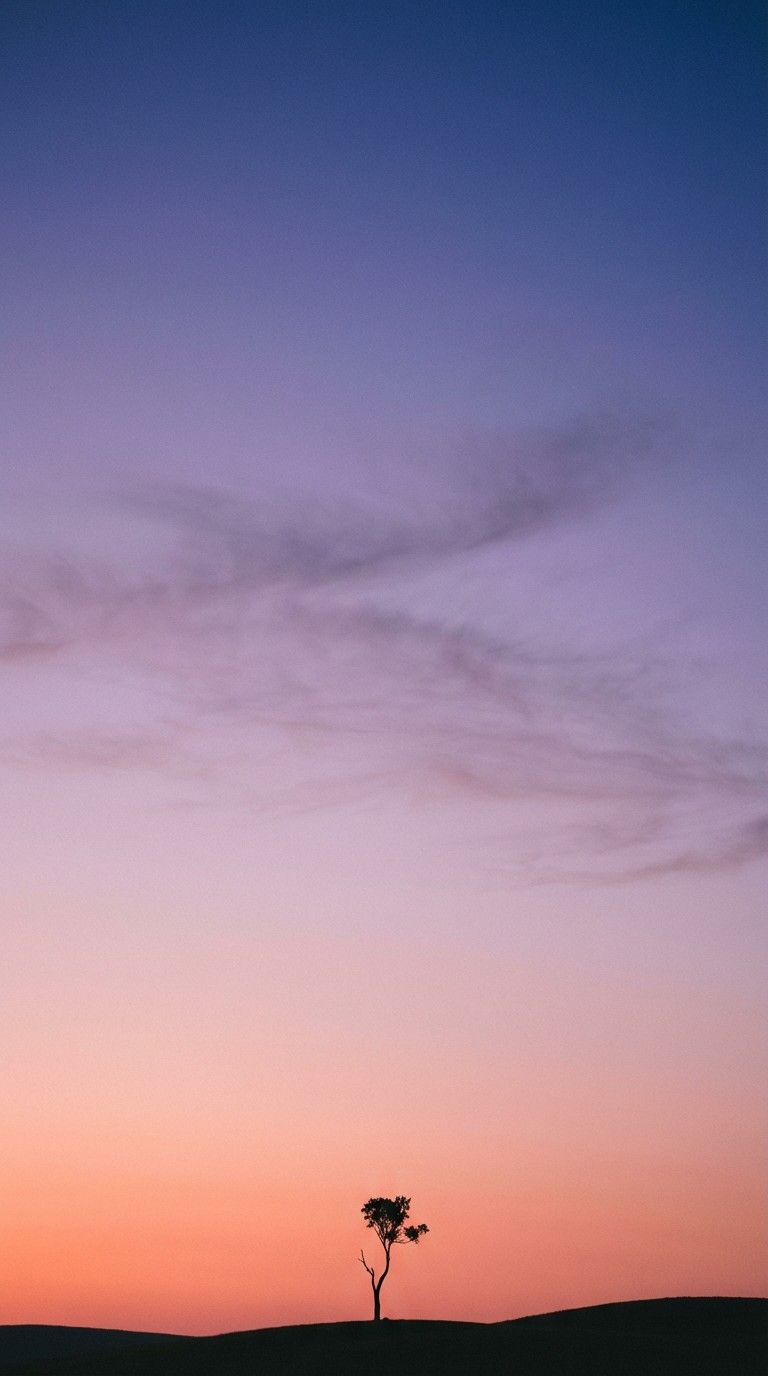 768x1376 Free Twilight Sky Colors Image, Sunset, Sky