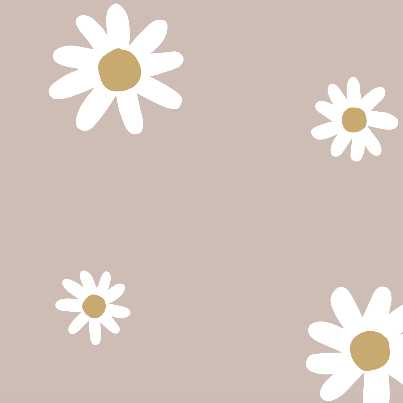 1372x1372 Large Daisy Floral Wallpaper
