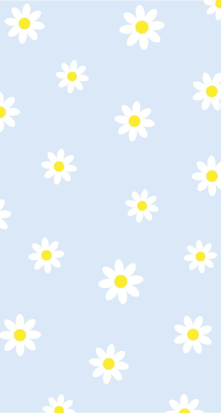736x1373 Cute Daisy Pattern Wallpaper for iPhone
