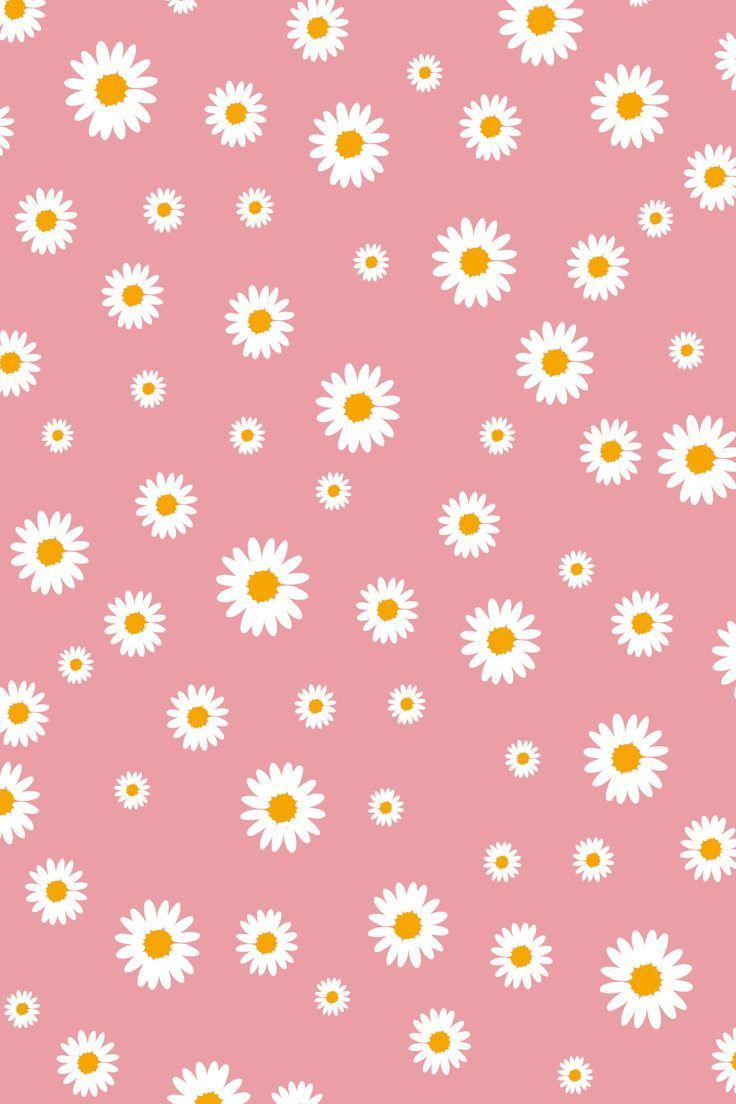 736x1104 flower daisy background wallpaper pink purple and orange soft color background for iPhone and phone
