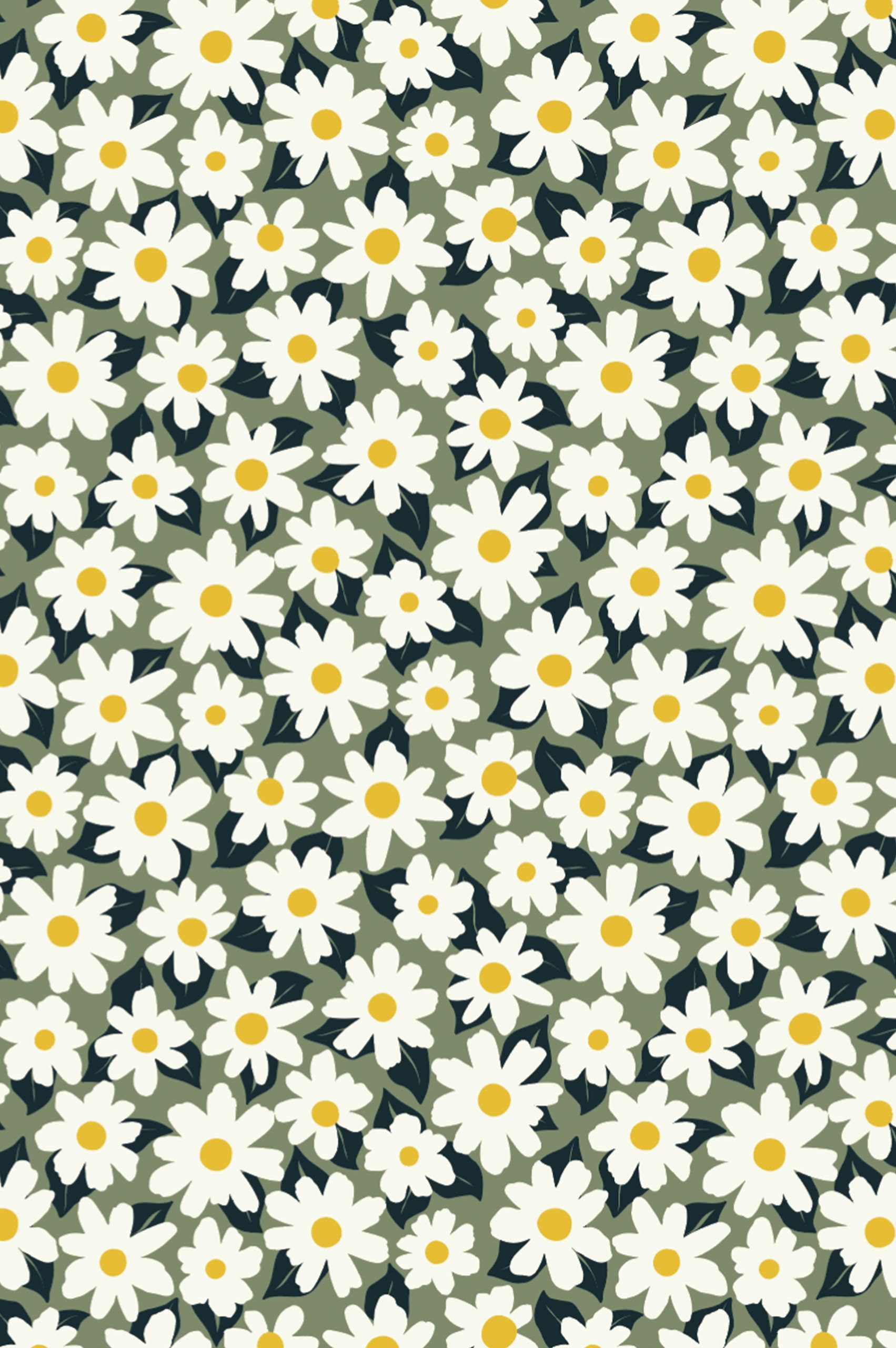 1703x2560 Wallpaper: Daisy
