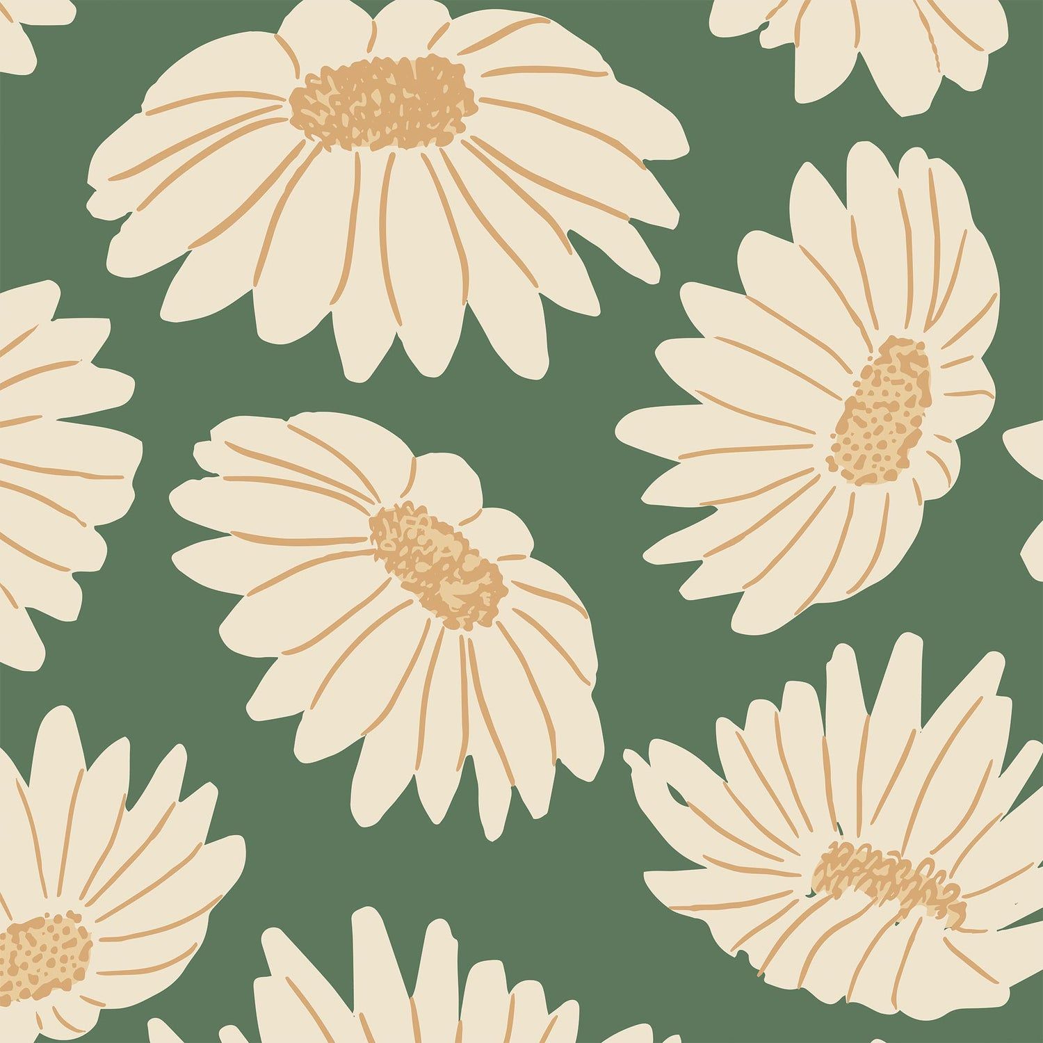 1500x1500 Daisies Wallpaper
