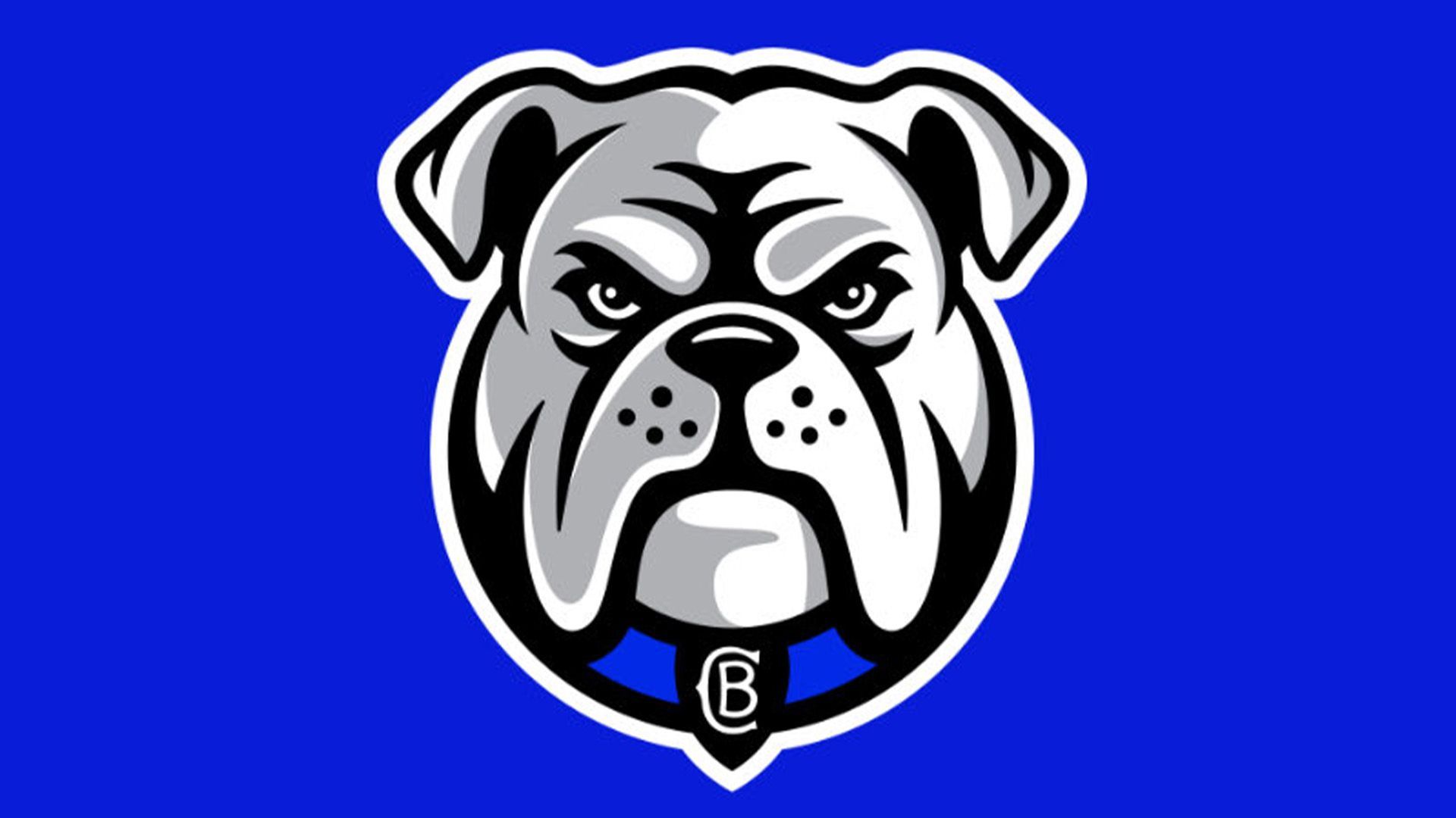 1920x1080 Sports fans used AI to recreate new logo to prove how generic it is