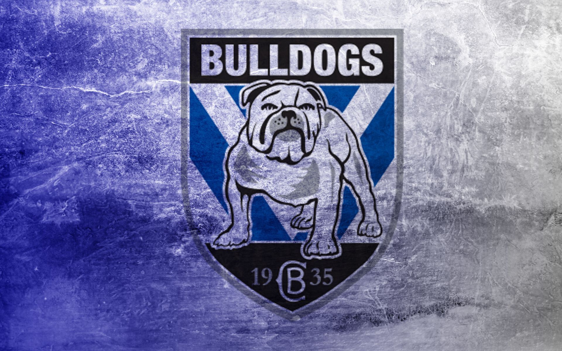 1920x1200 Free Canterbury Bankstown Bulldogs 4K Wallpaper & Desktop HD Background for PC