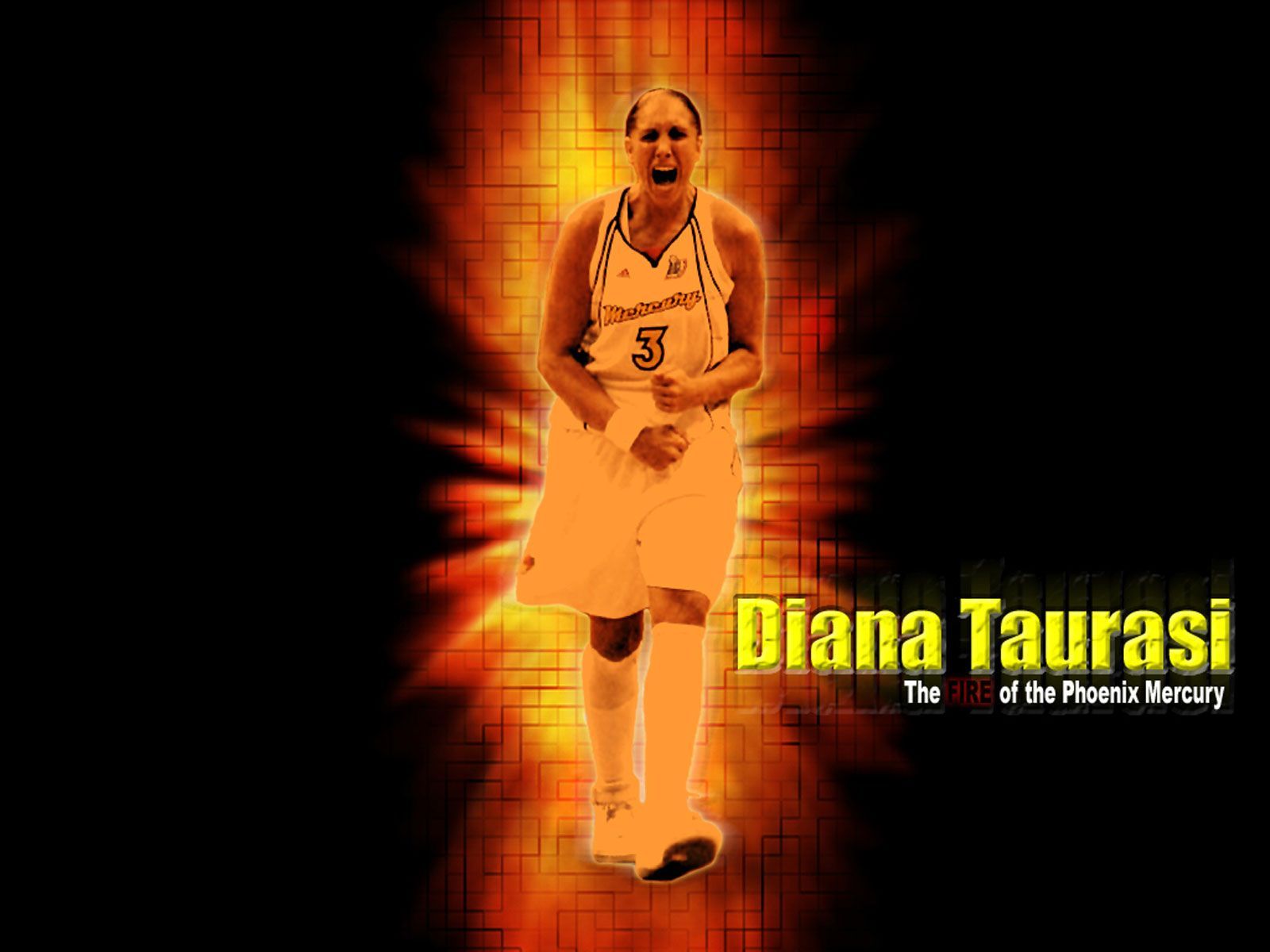 1600x1200 Diana Taurasi Wallpaper
