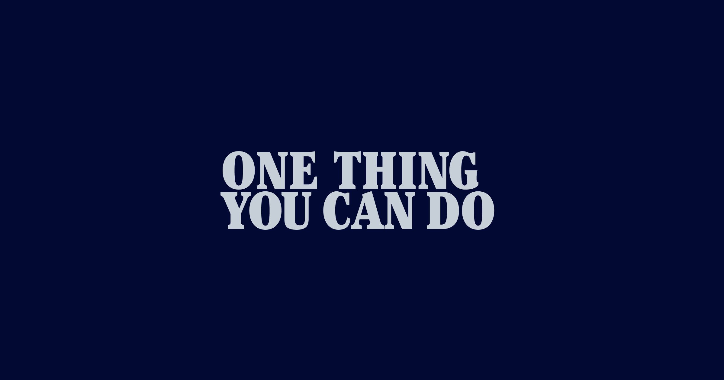 2397x1257 One Thing You Can Do