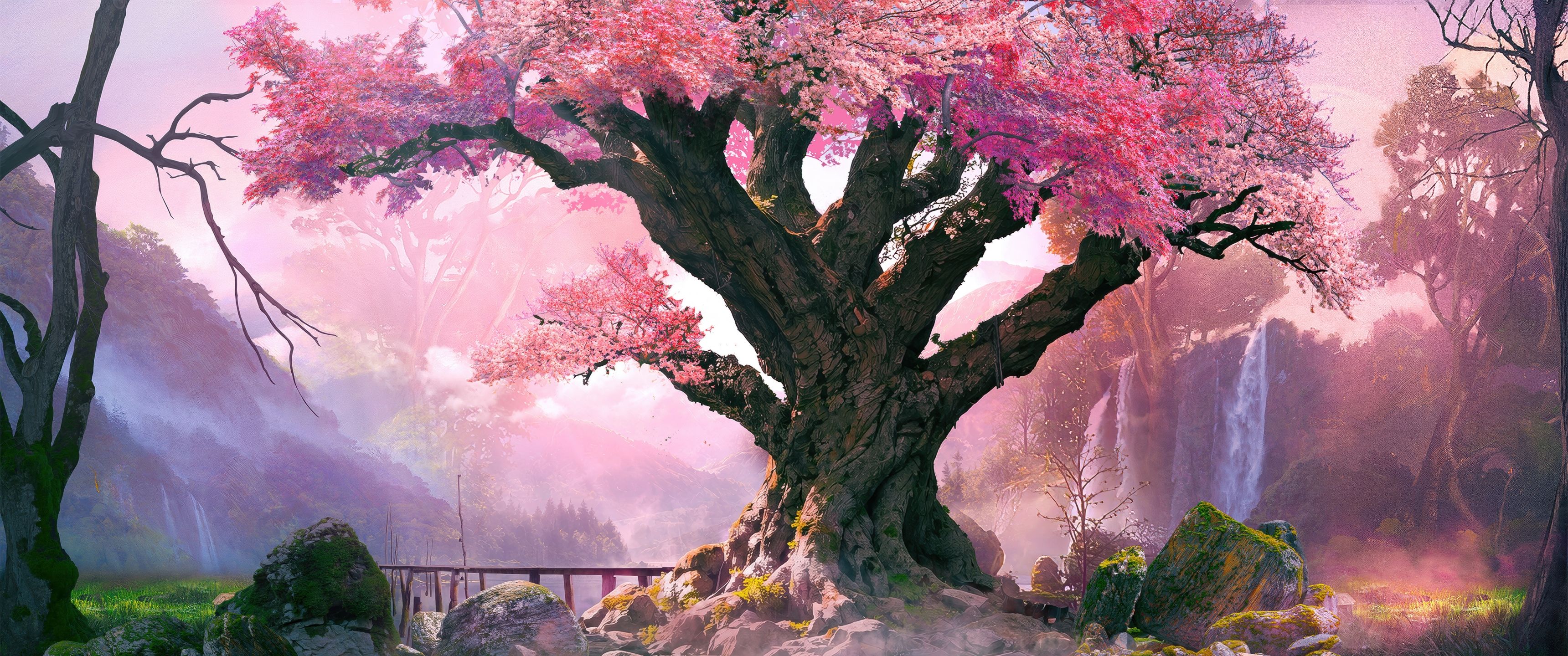 3440x1440 Surreal Wallpaper 4K, Cherry blossom, Tranquility