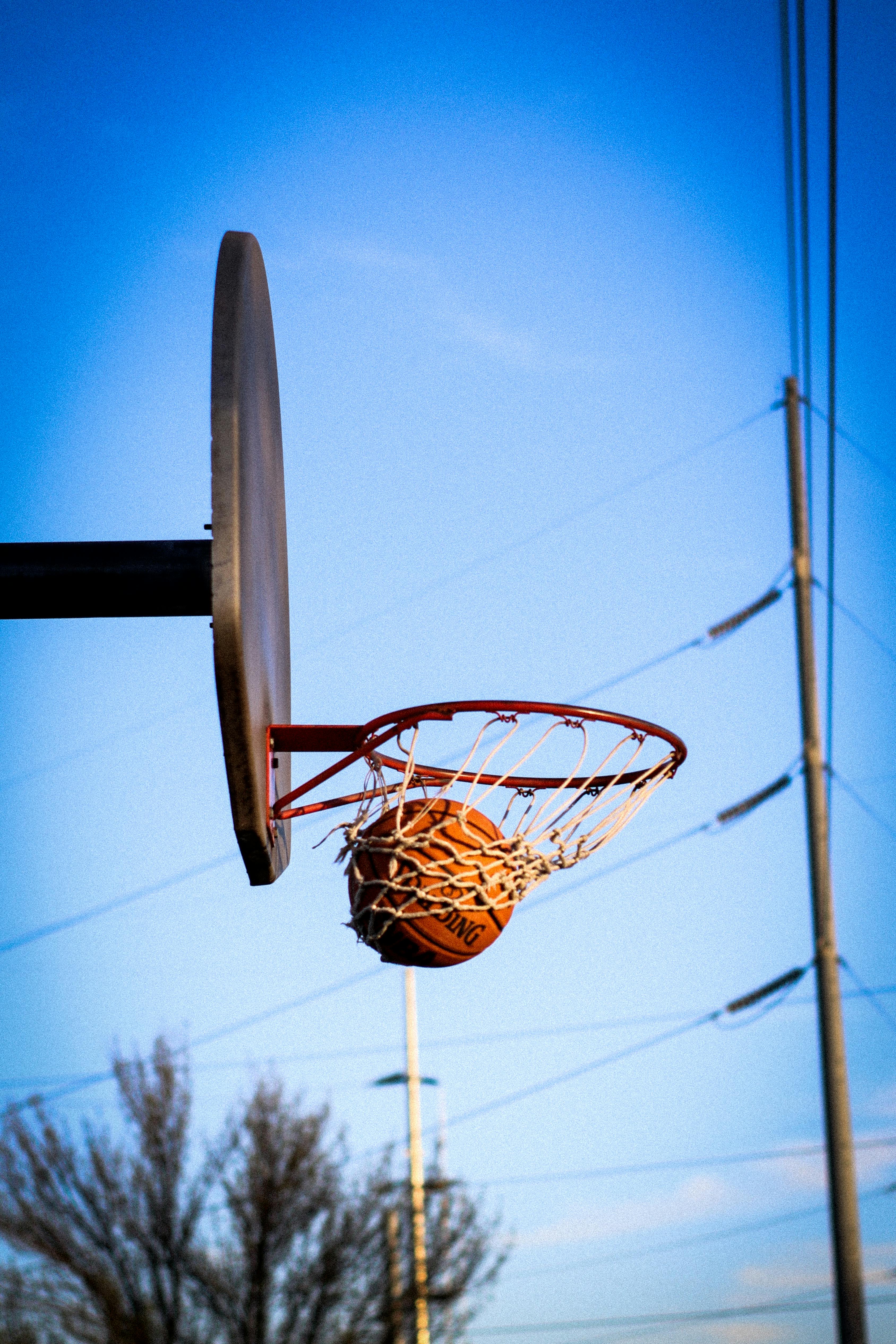3375x5062 Basketball Net · Free
