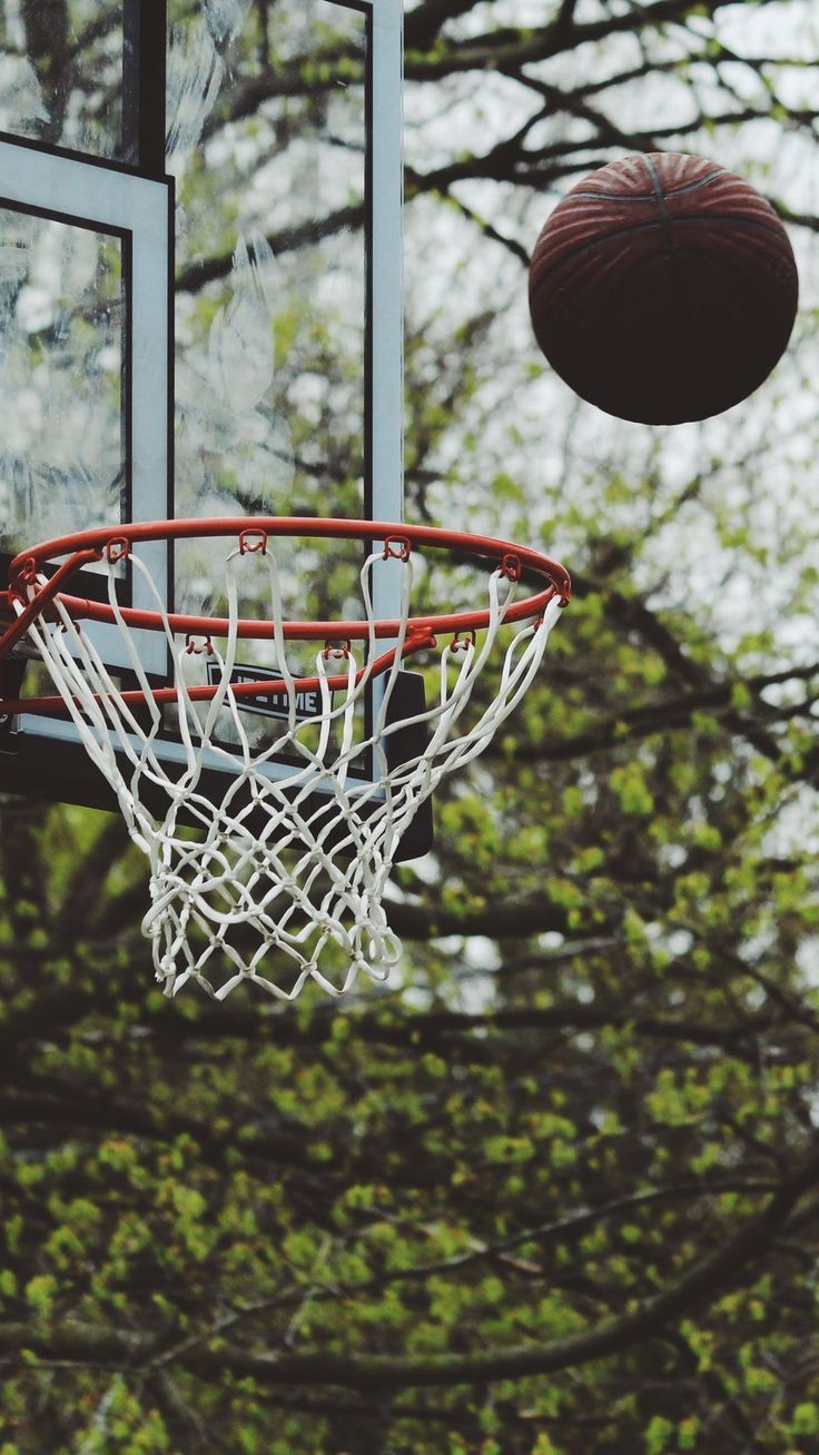736x1308 basketball ring ball throw #image #Photos #Picture