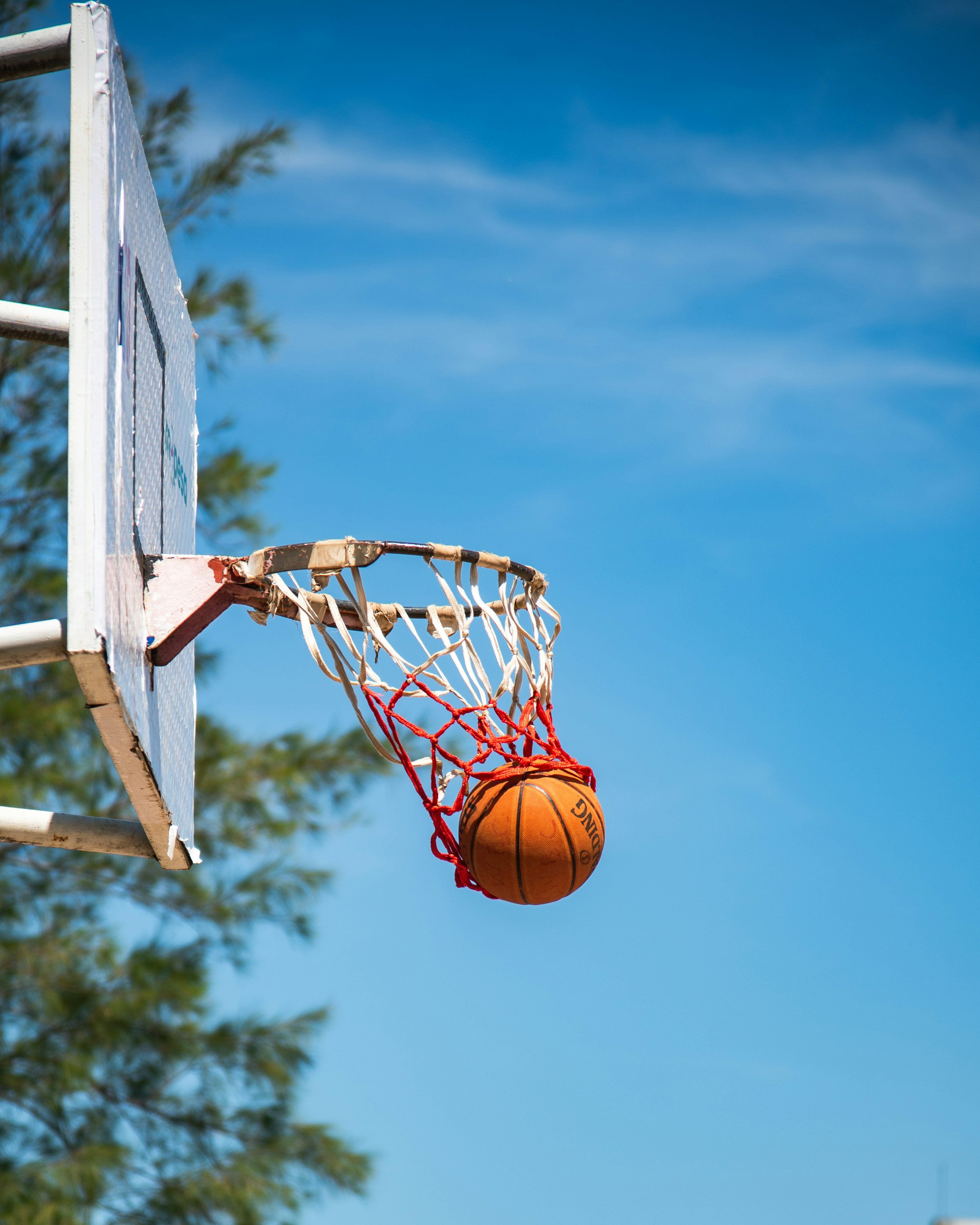 3000x3750 A basketball swishesp. photo
