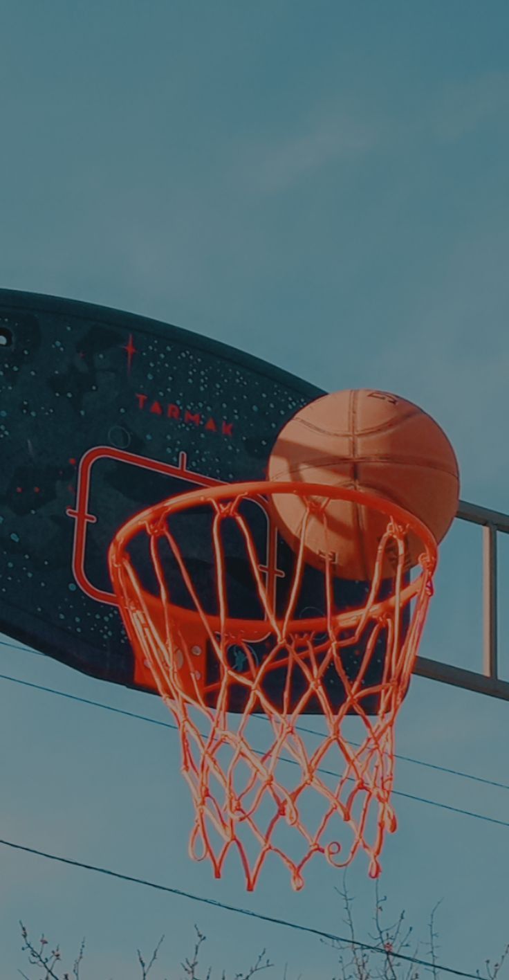 736x1416 Wallpaper
