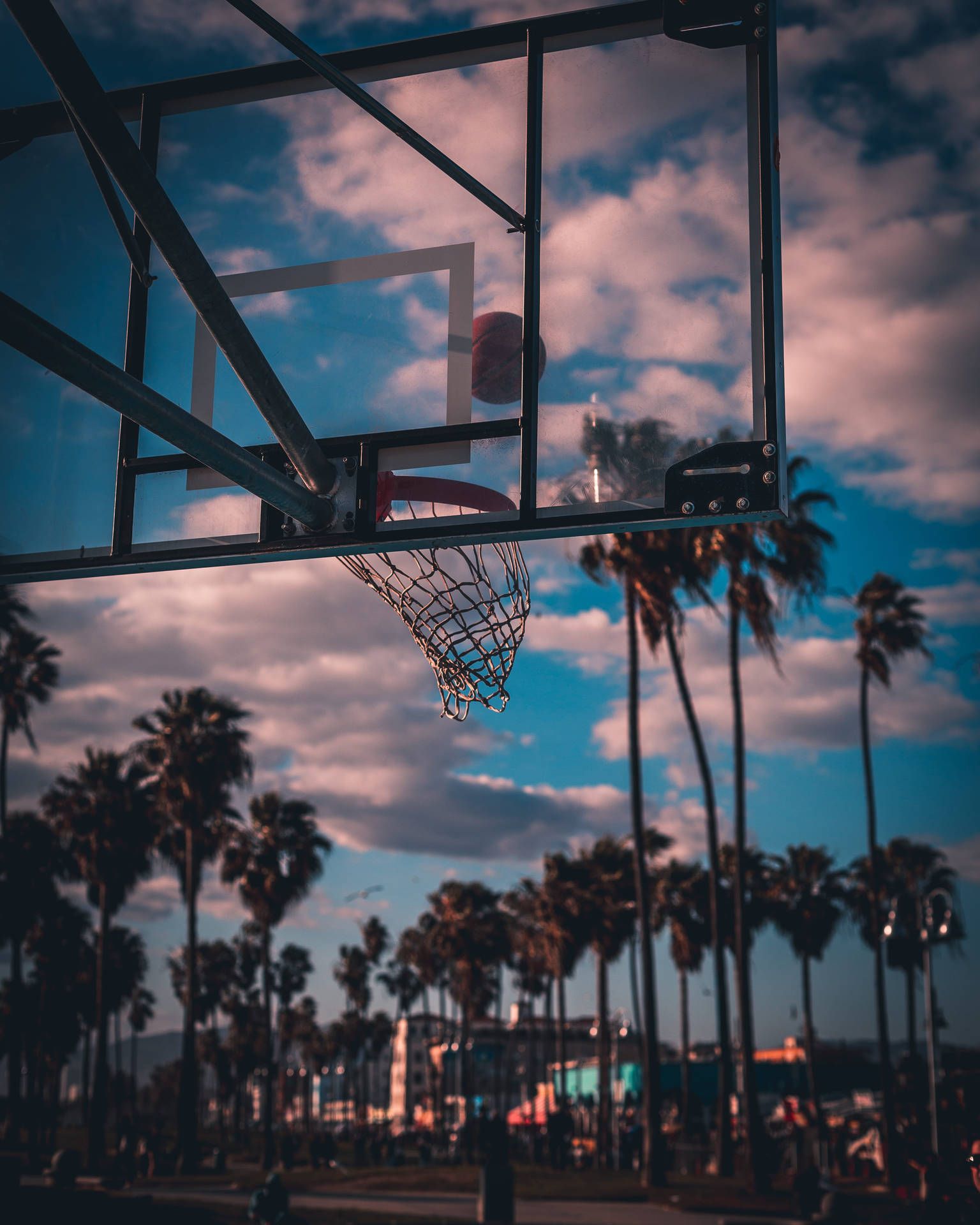 1536x1920 Download Palm Tree Sunset Basketball Hoop Wallpaper