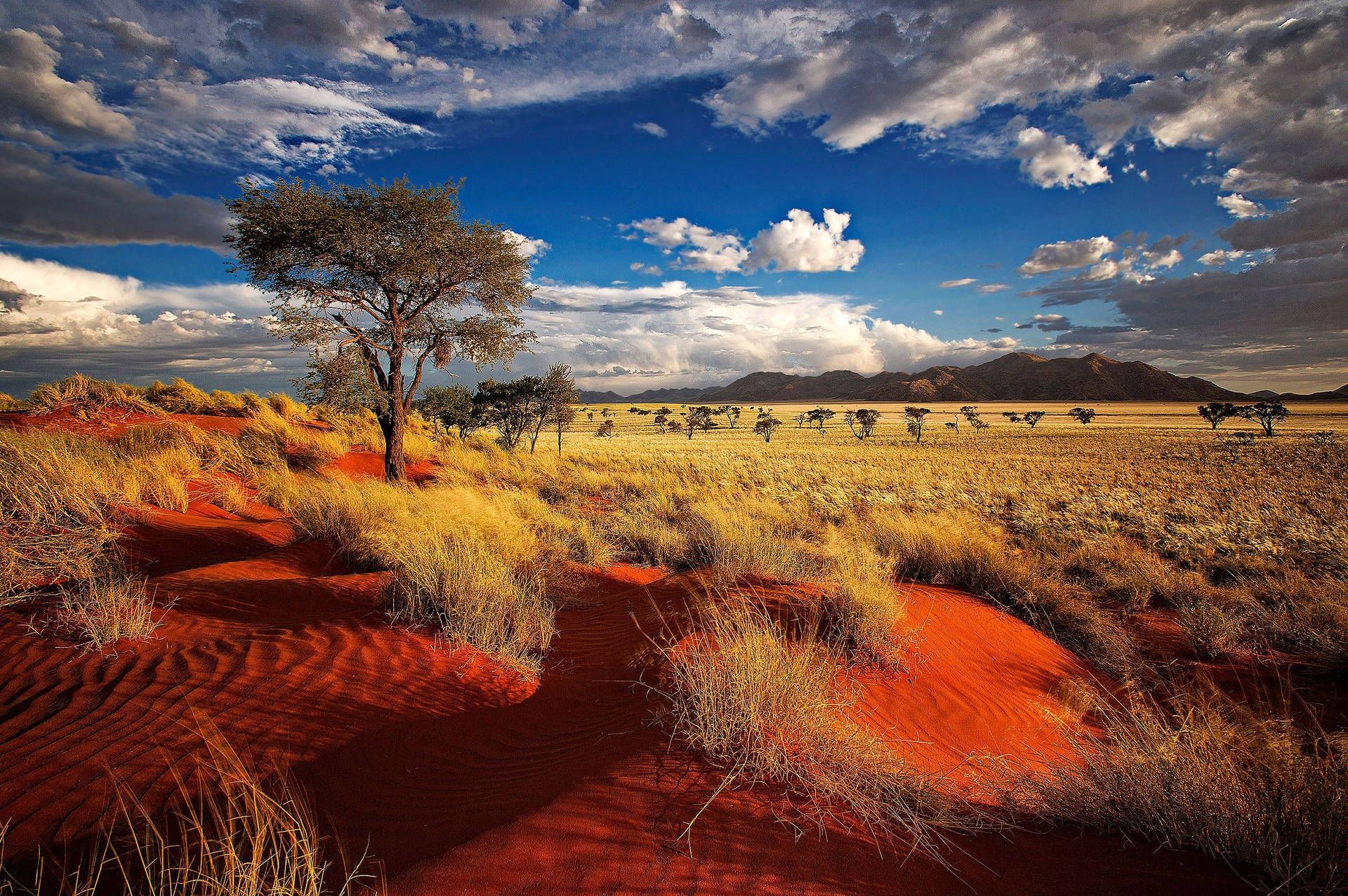 1920x1277 Download Namibia Namib Desert With Vegetation Wallpaper