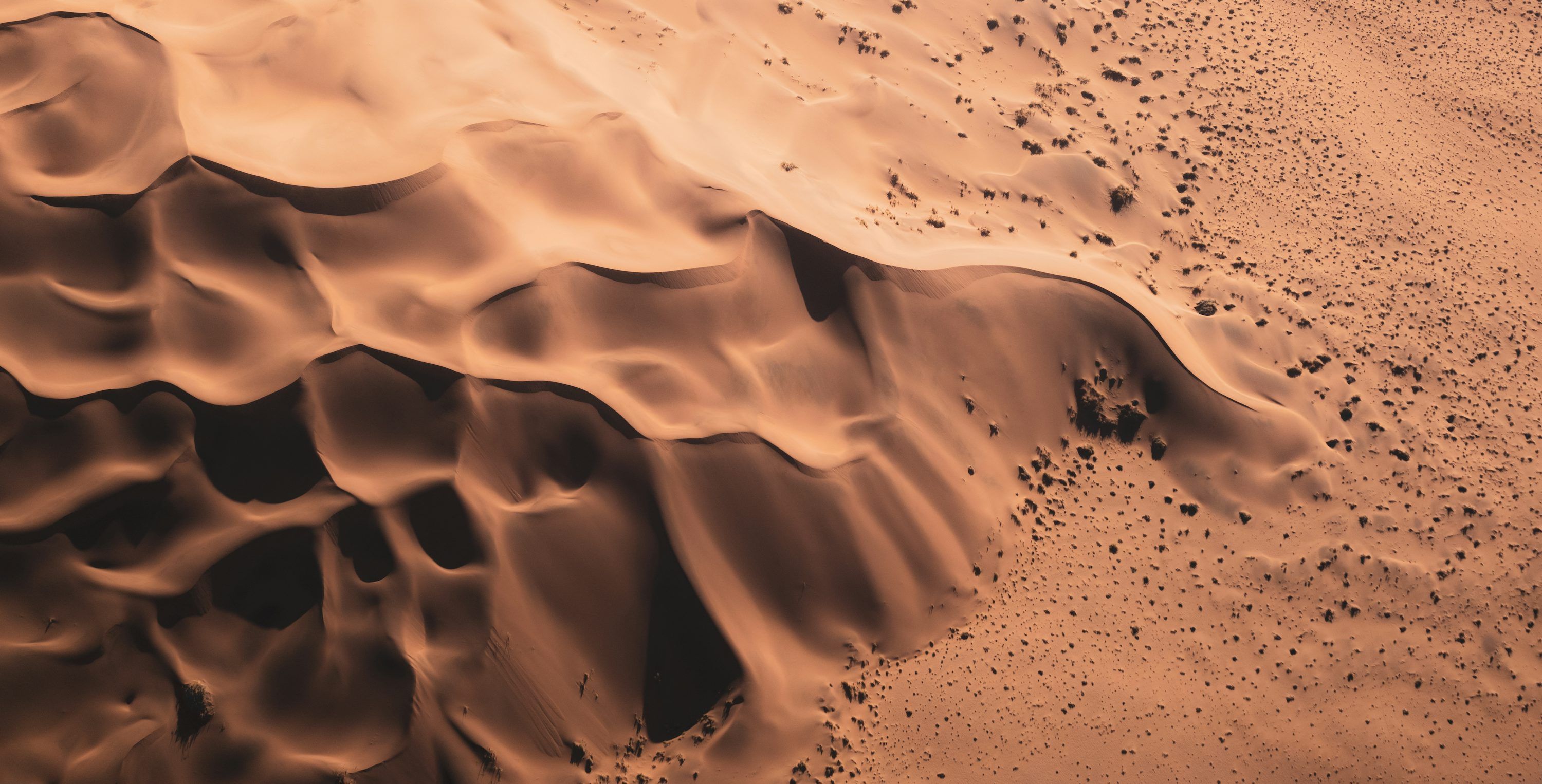 3000x1526 A close up of a desert photo