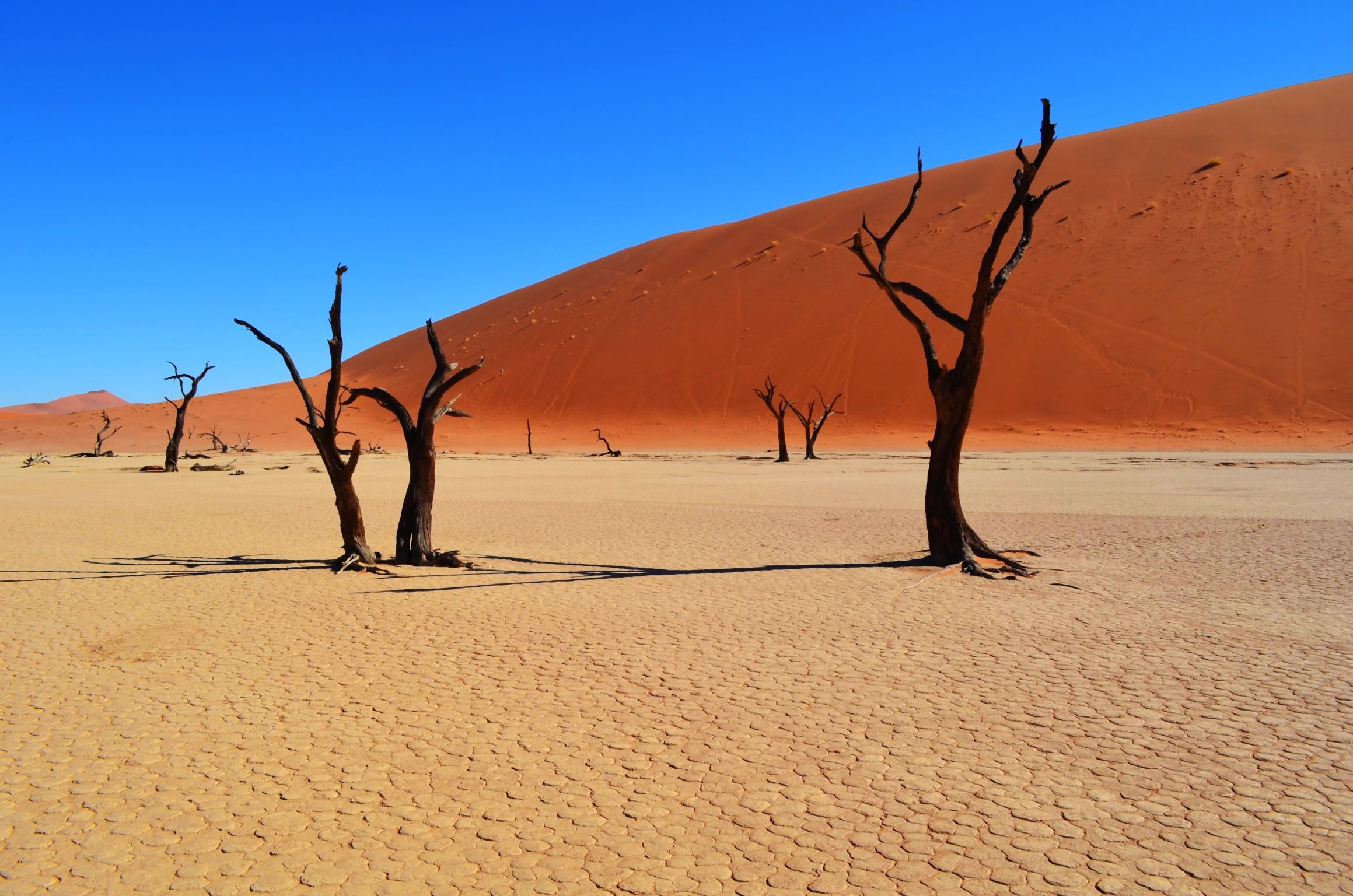 2319x1536 Martian Landscape: An Ethereal Photo Essay from The Namib Desert