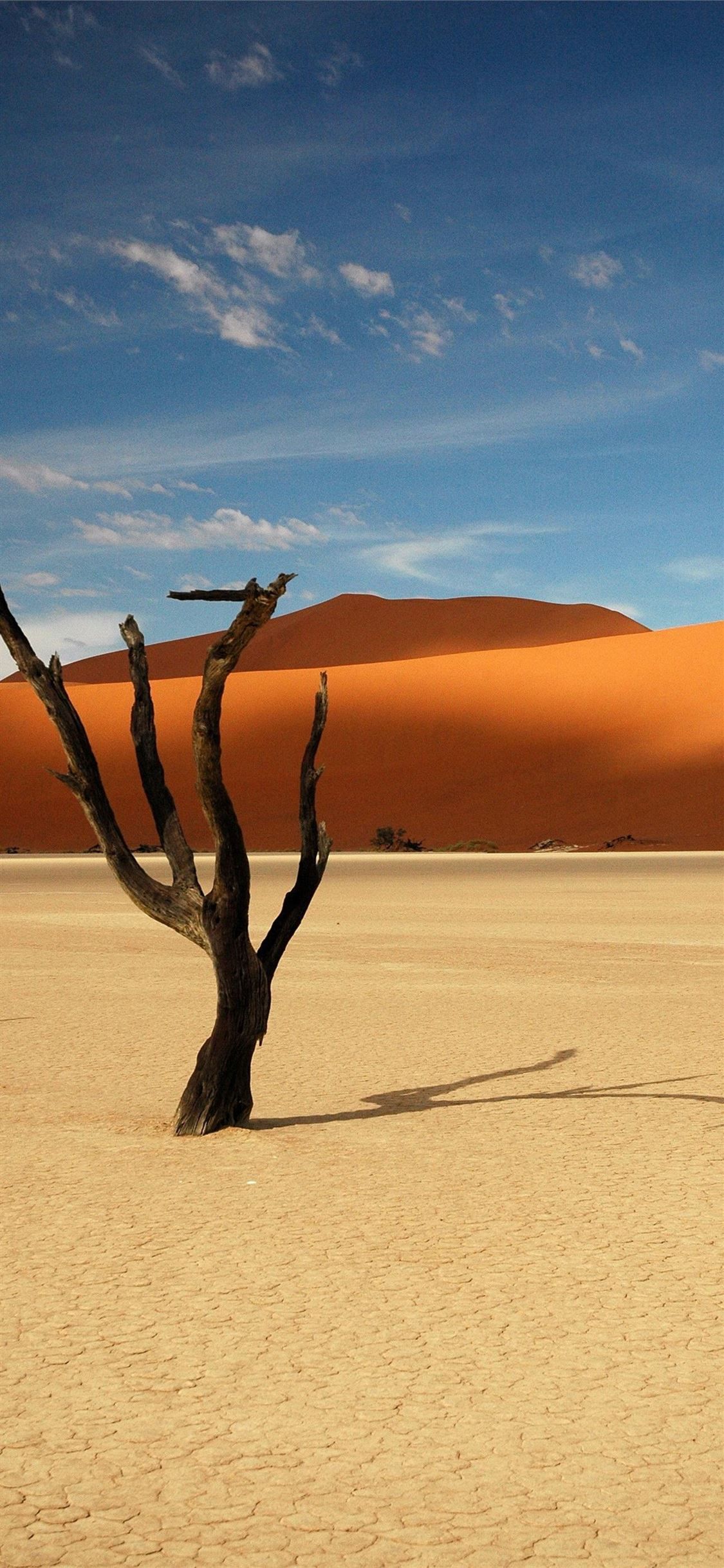 1125x2436 Namib Desert iPhone X Wallpaper Free Download