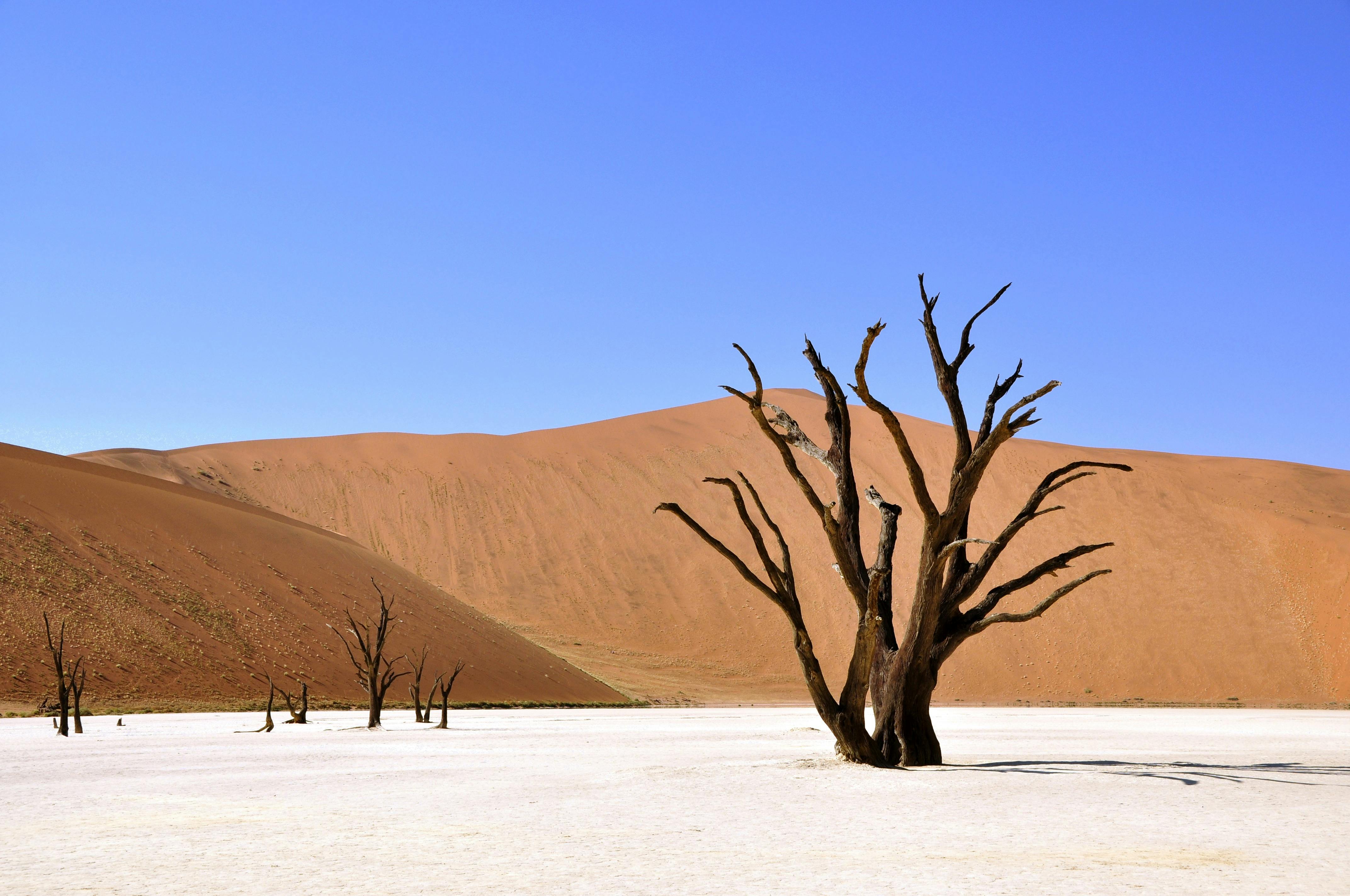 4288x2848 Namibia Deserto Del Namib Photo, Download The BEST Free Namibia Deserto Del Namib & HD Image