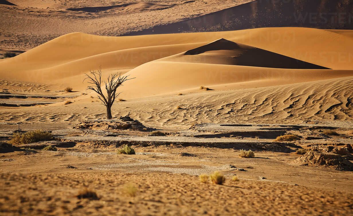 1232x754 Africa, Namibia, Namib Naukluft National Park, Namib Desert