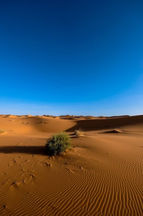 493x740 Sunset namib desert Image
