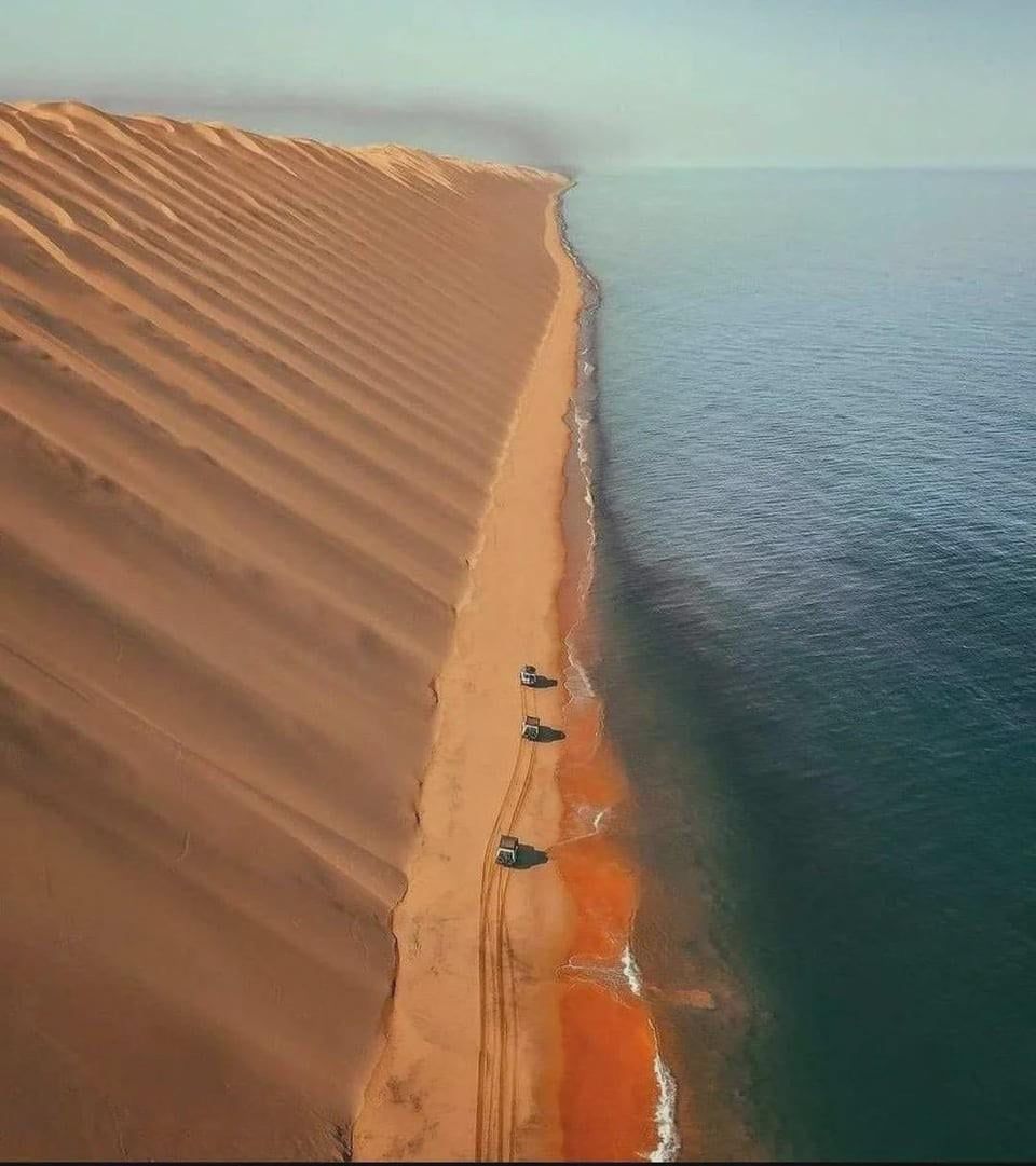 960x1081 Namib Desert: Yesterday's Underrated Desert