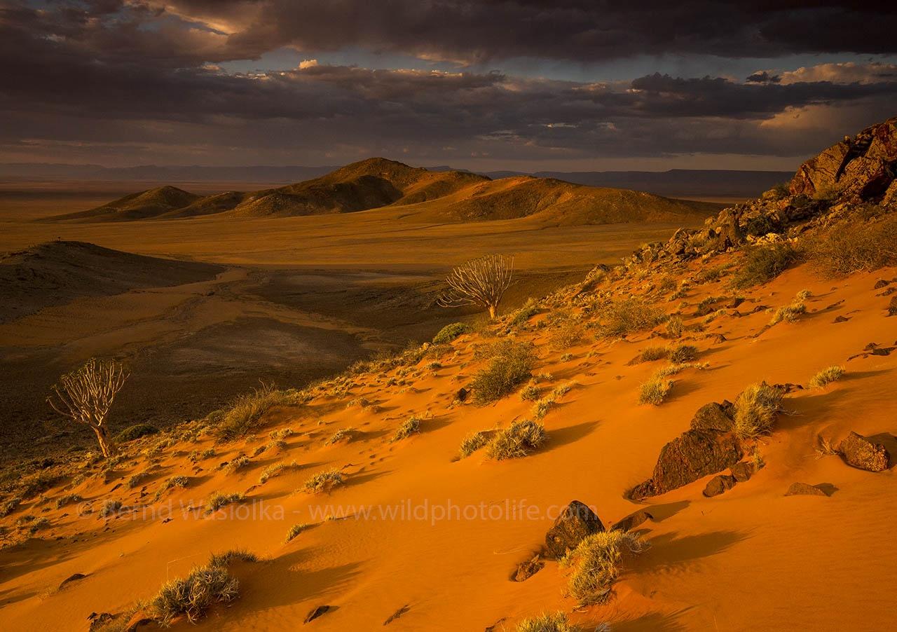 1280x902 New Photographic Safari in Namibia from the Bush
