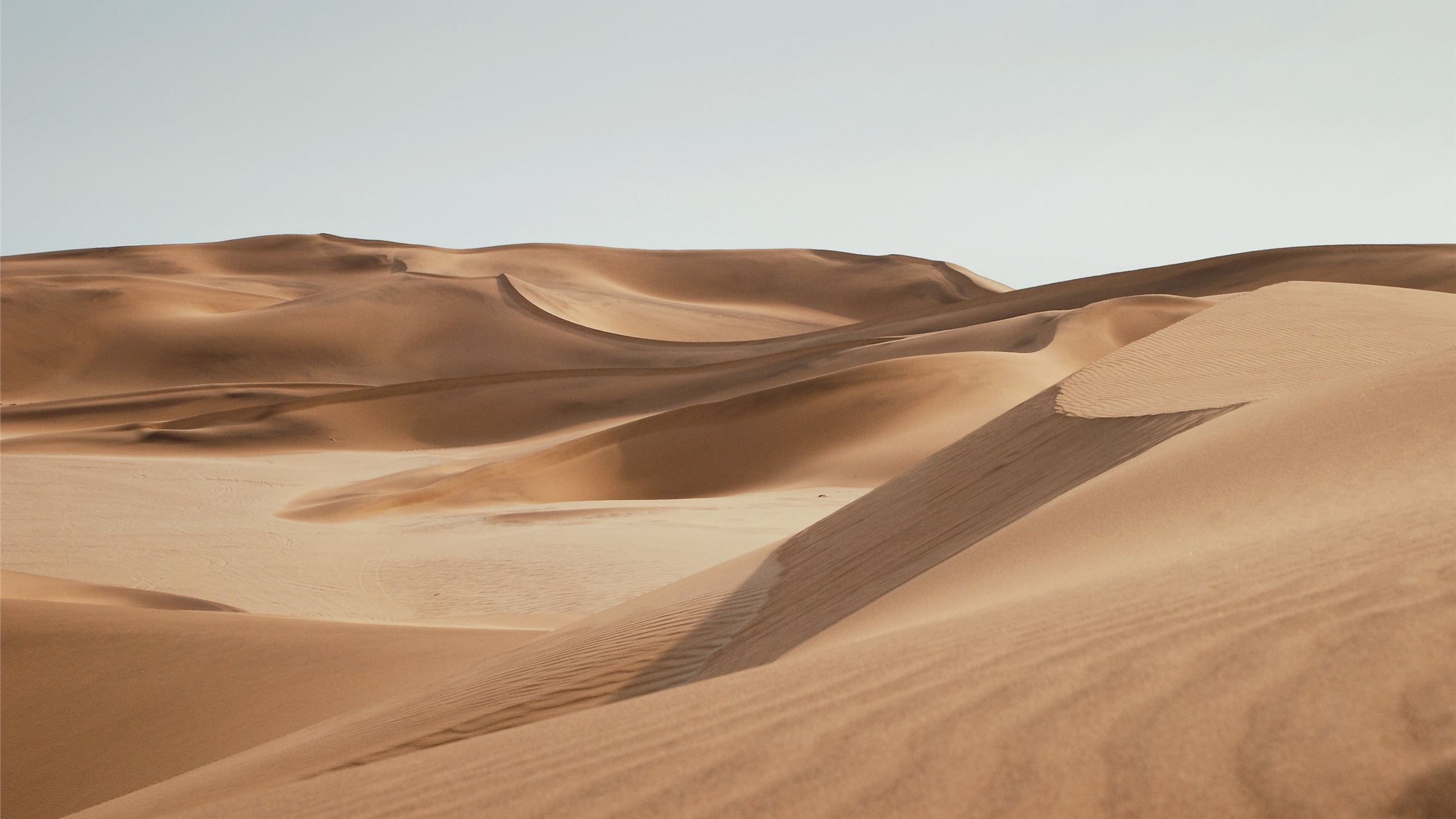 2560x1440 Dunes of Namib Desert Mac Wallpaper Download