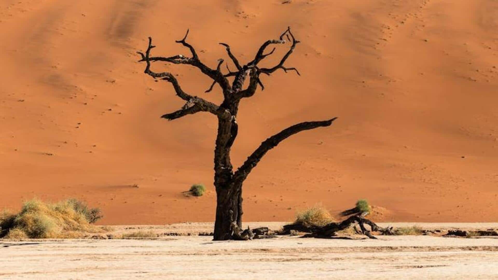 1920x1080 Go for these thrilling adventures in Namibia's Namib Desert