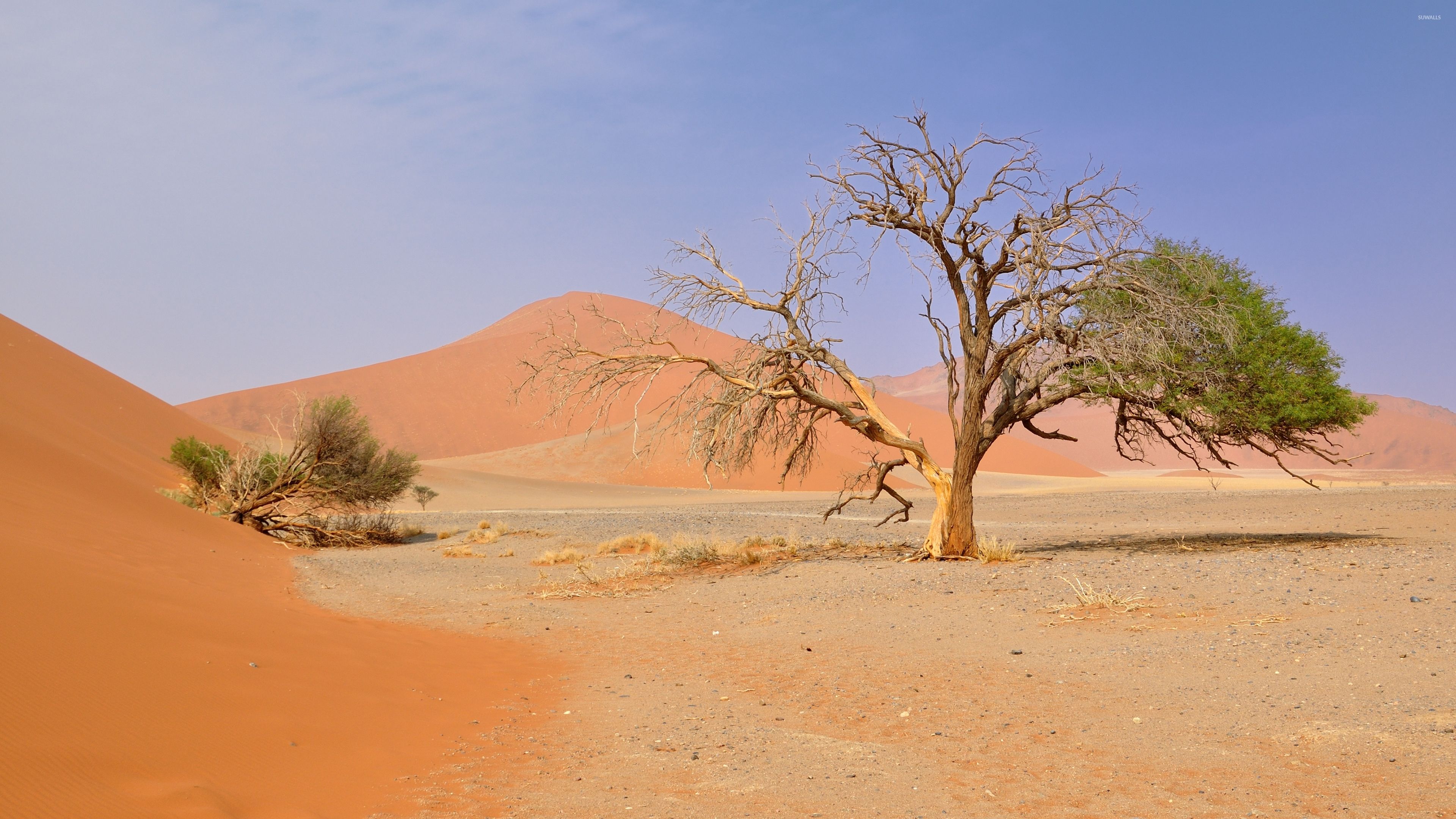 3840x2160 Namib Desert wallpaper wallpaper