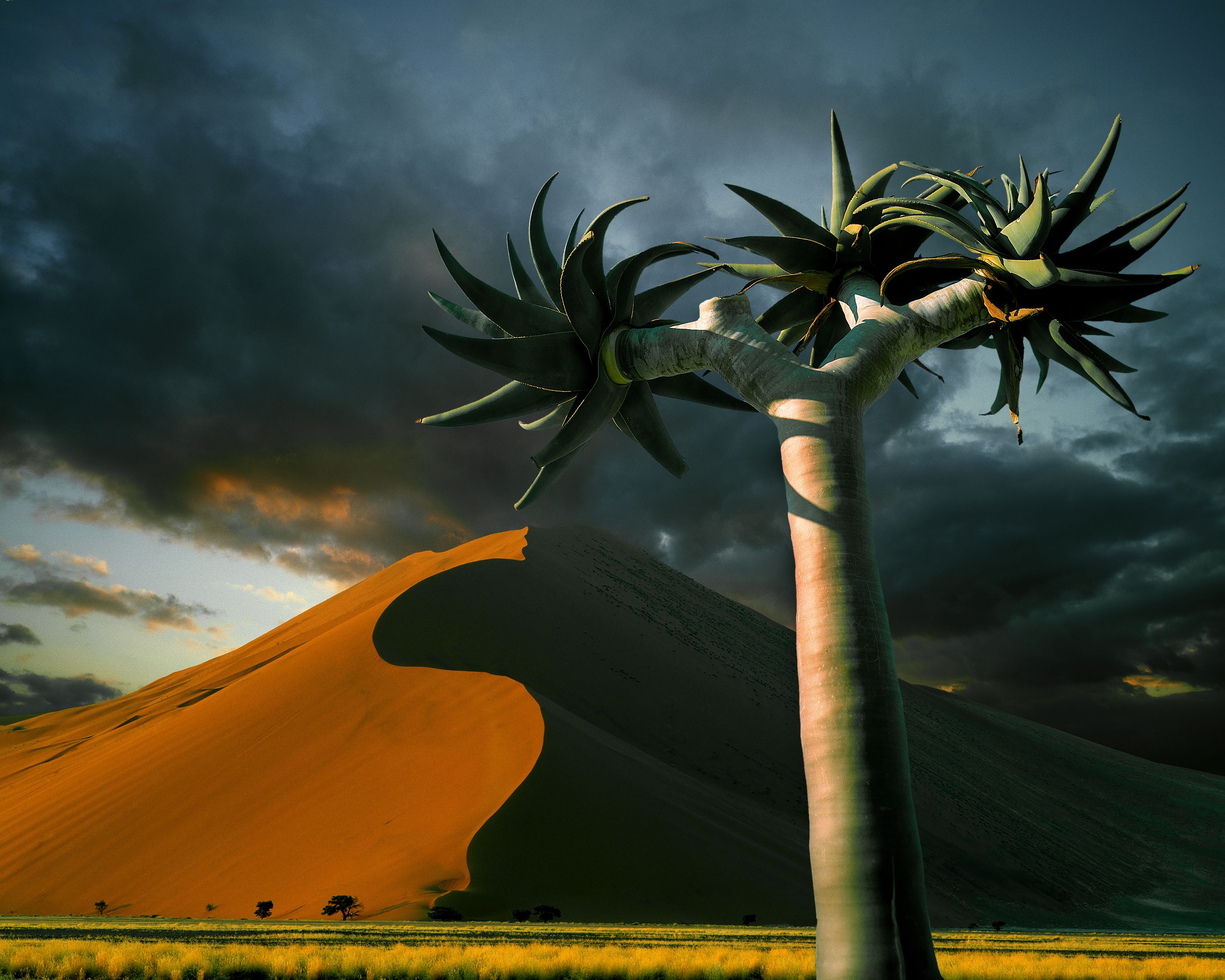 3200x2560 Namib Desert, Sossosvlei Region, Namibia Mural Your Way