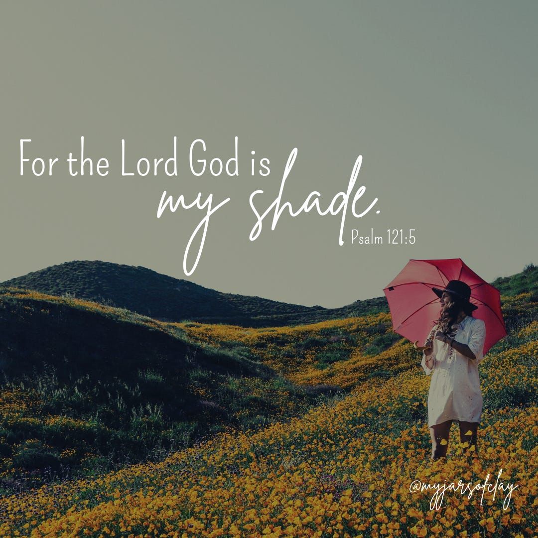 1080x1080 Hold His Gaze Week Five Amber Palmer My Jars Of Clay