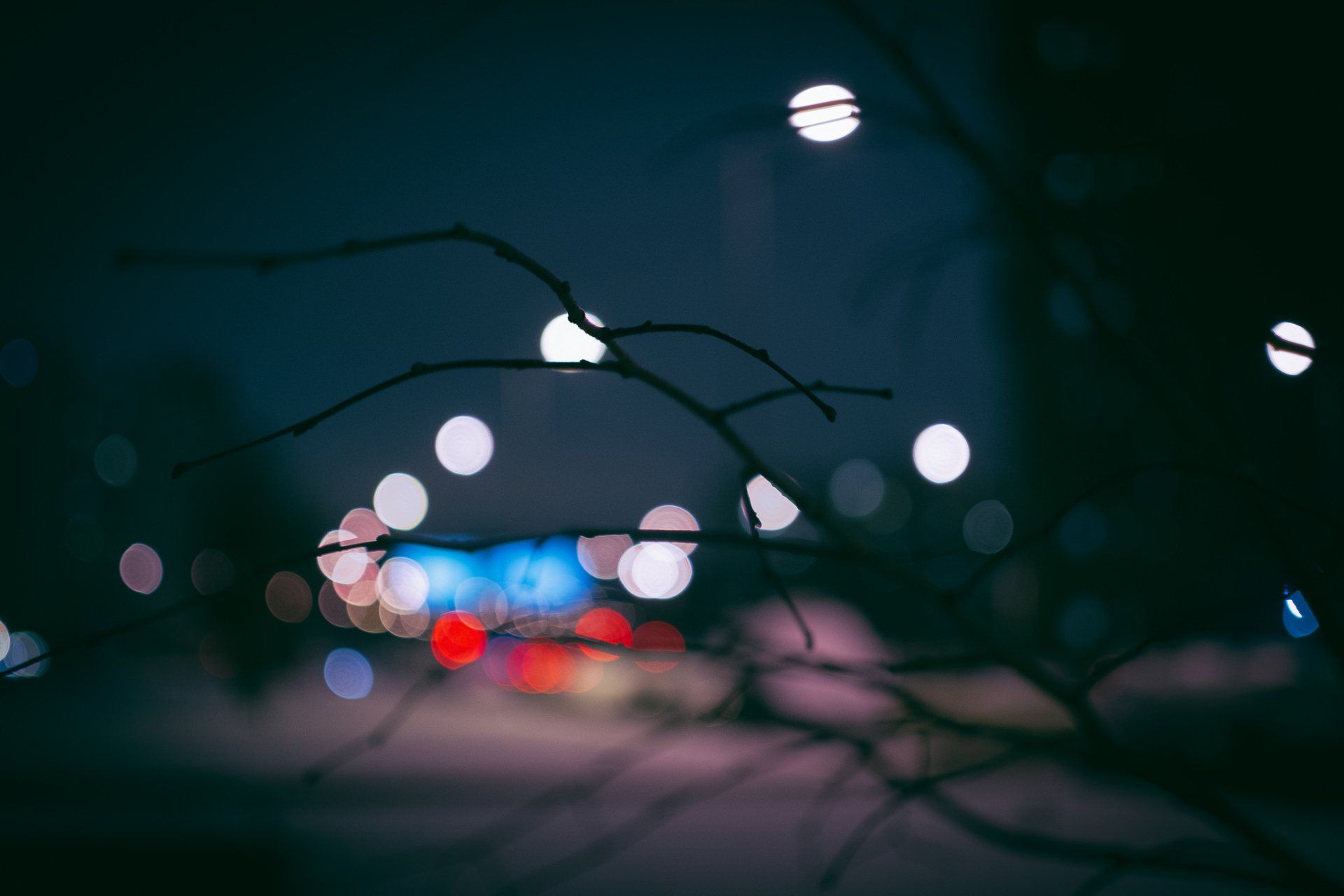 1920x1280 Midnight Bokeh: Branch Silhouette HD Wallpaperx1365