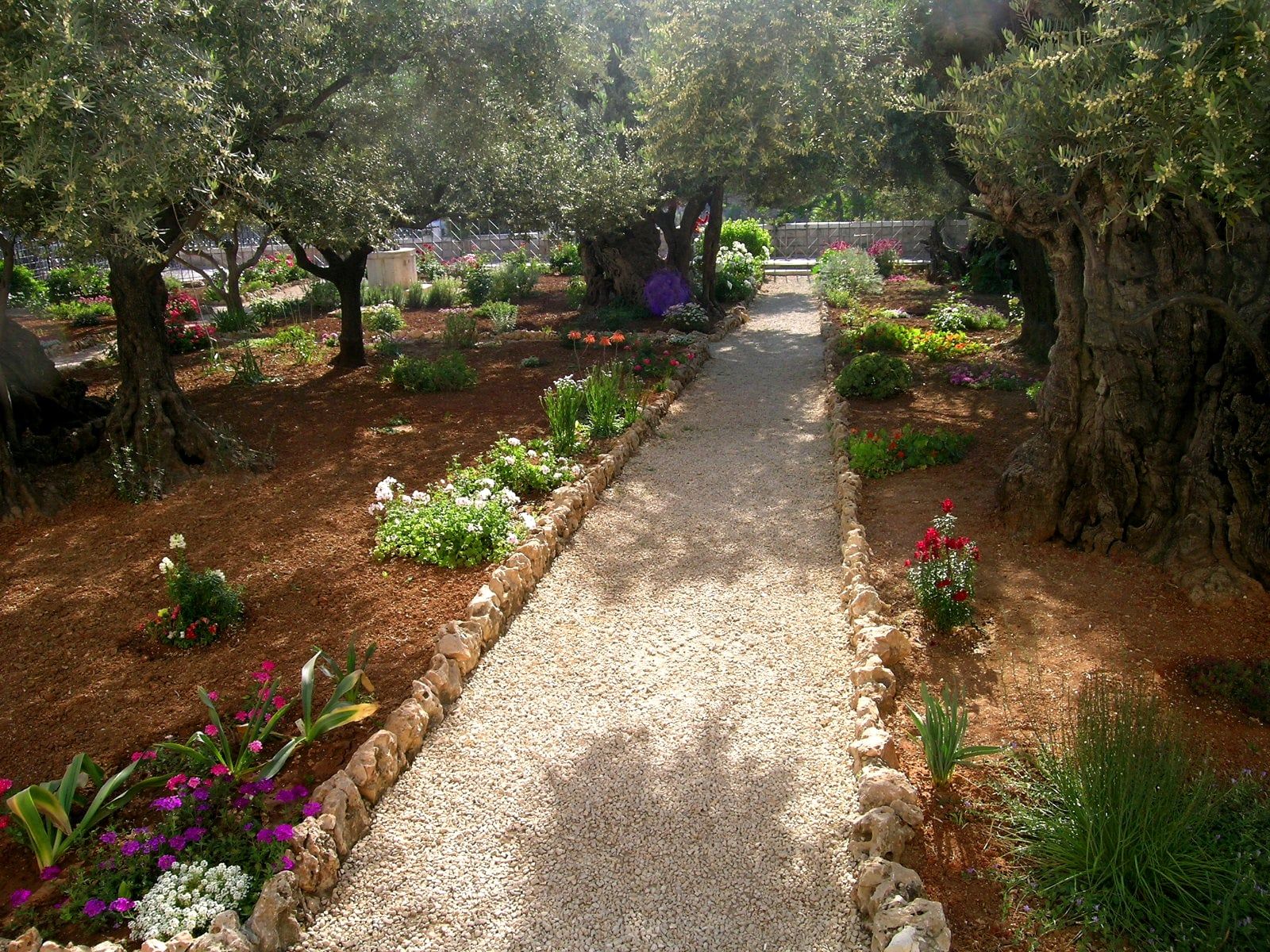 1600x1200 Garden of Gethsemane